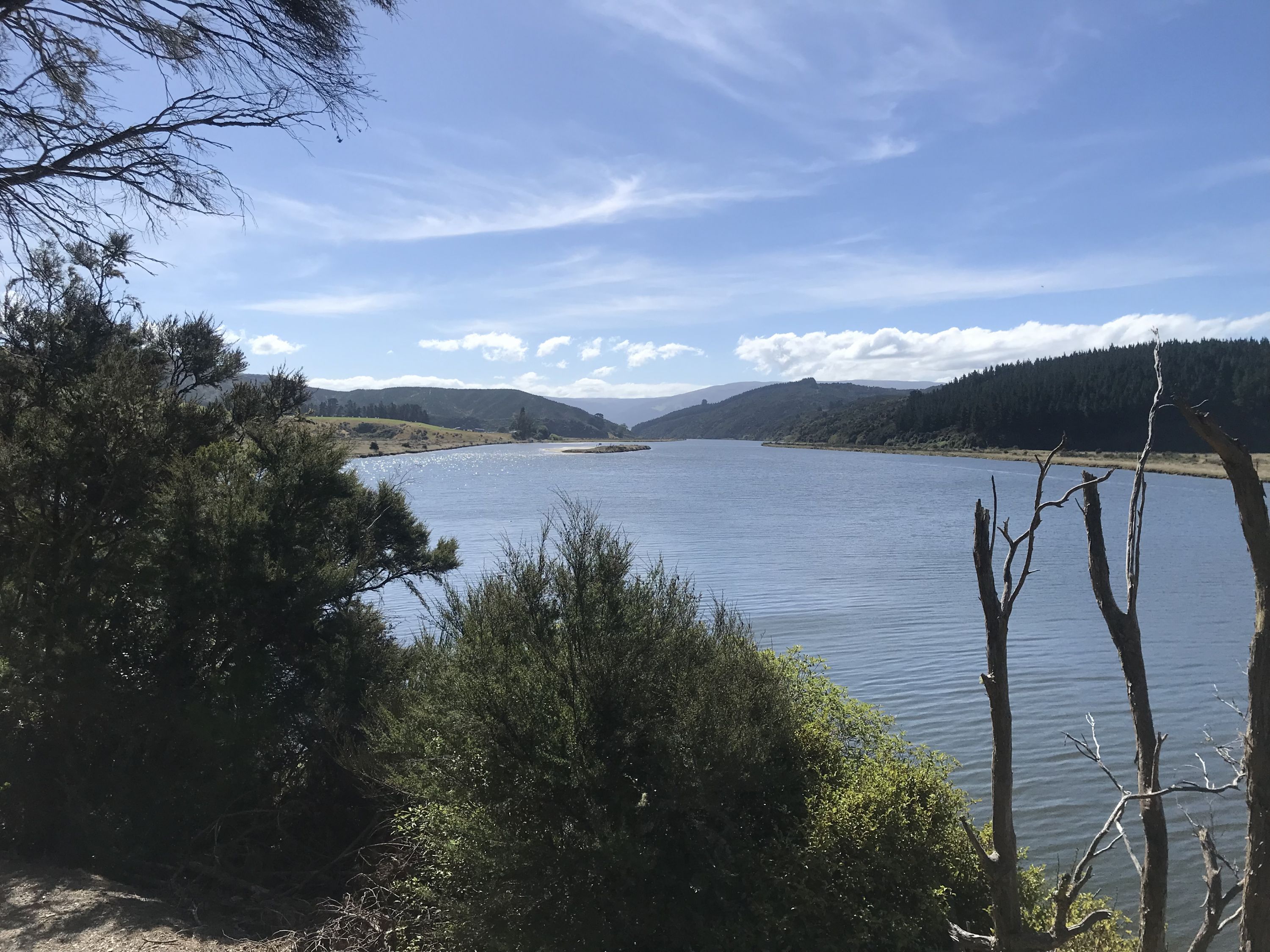 Taieri Mouth Millenium Trail, Otago Trails Photo Gallery Wild Things