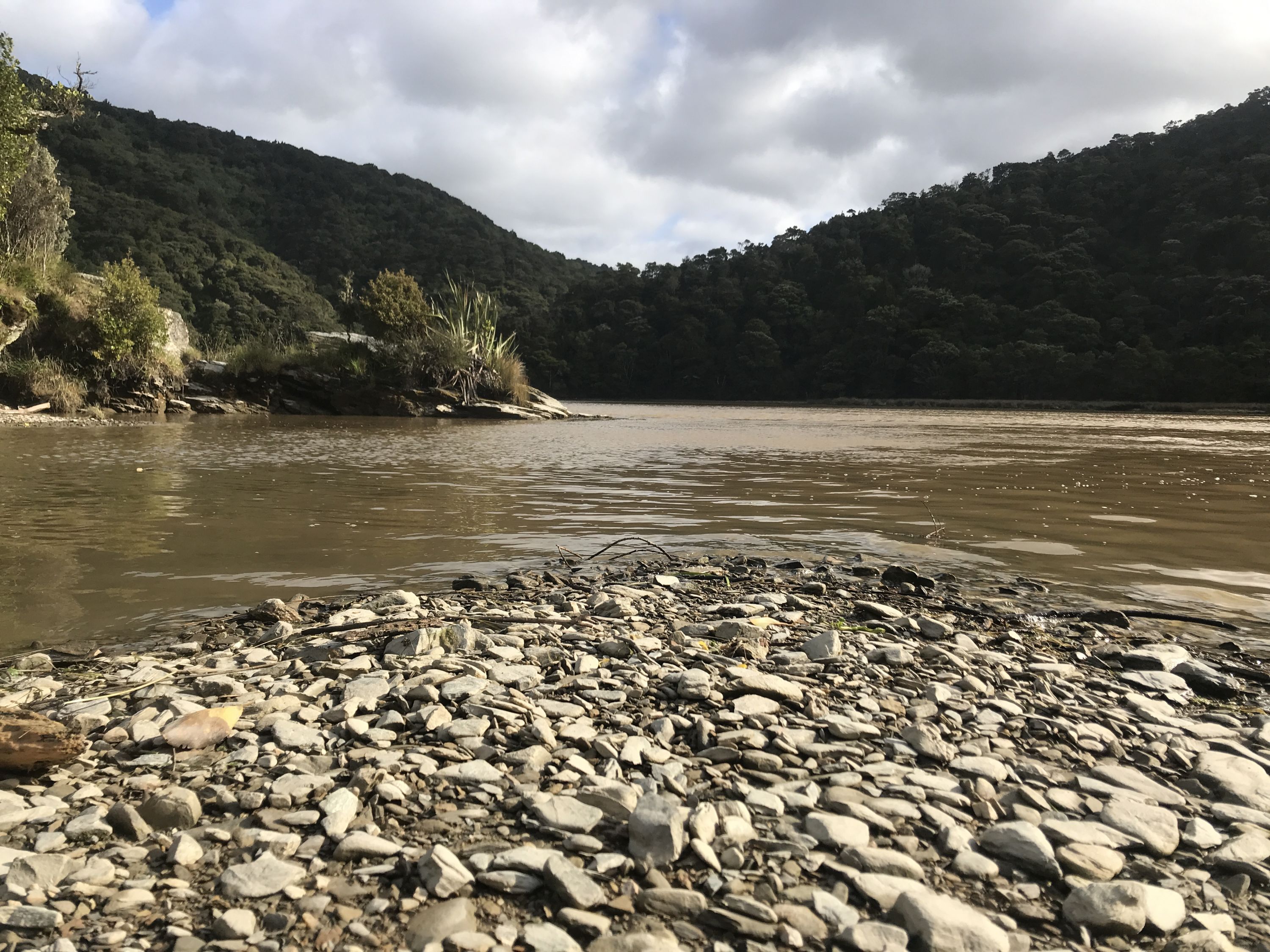 Taieri Mouth Millenium Trail, Otago Trails Photo Gallery Wild Things