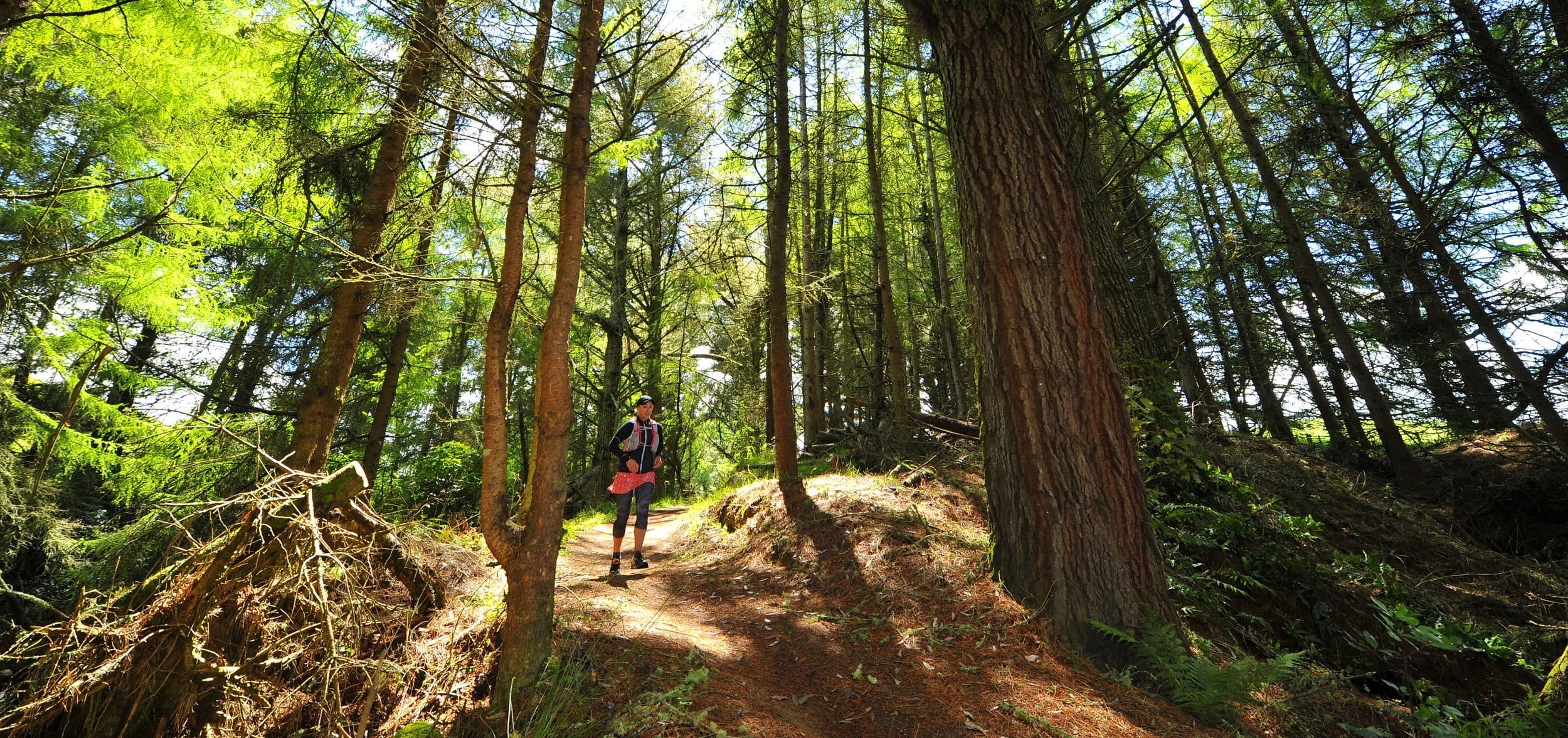 Taupō Ultramarathon