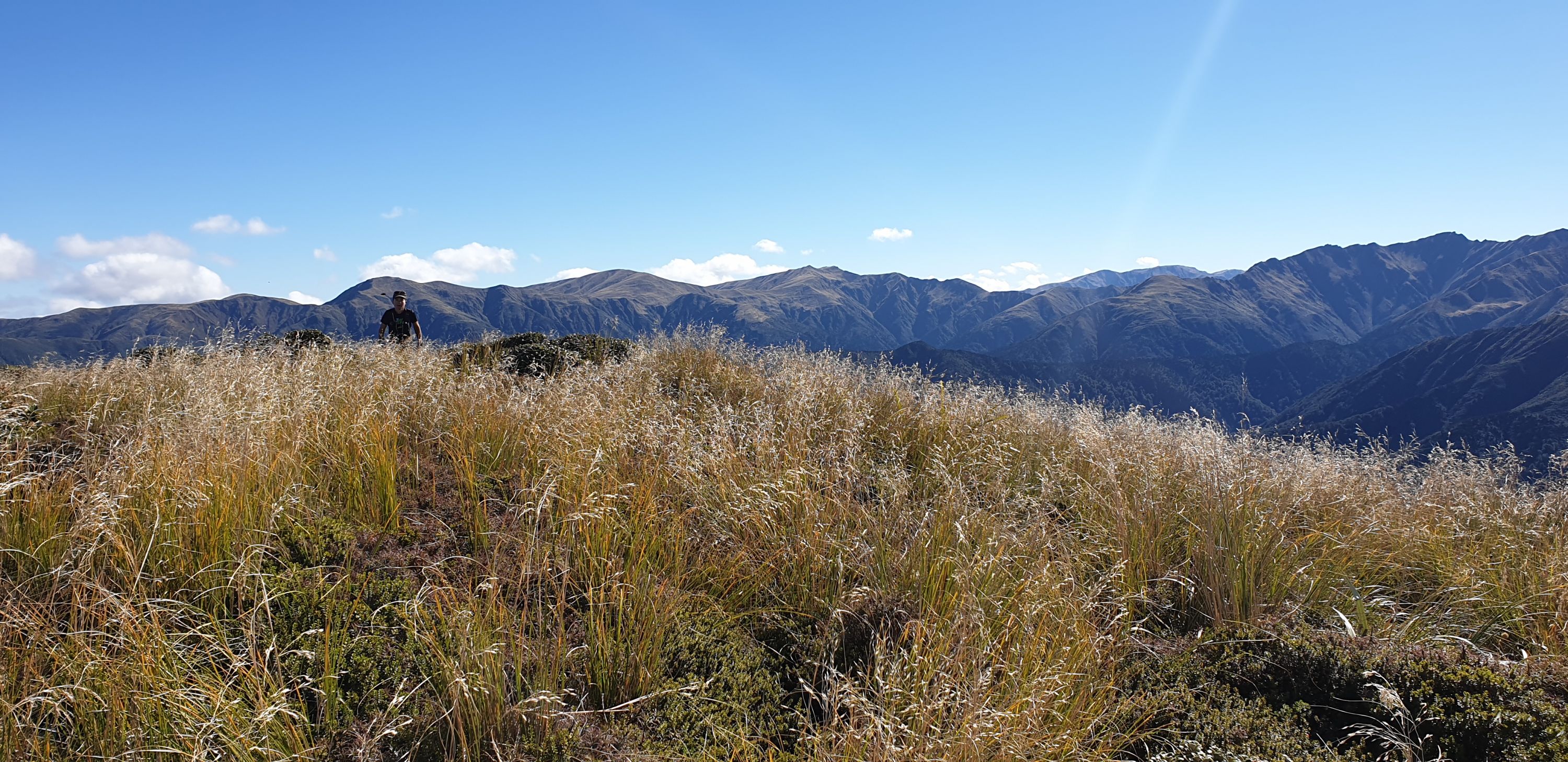Iron Gate Hut to Tunupo High Point Loop, Manawatu Wanganui Trails Photo Gallery Wild Things