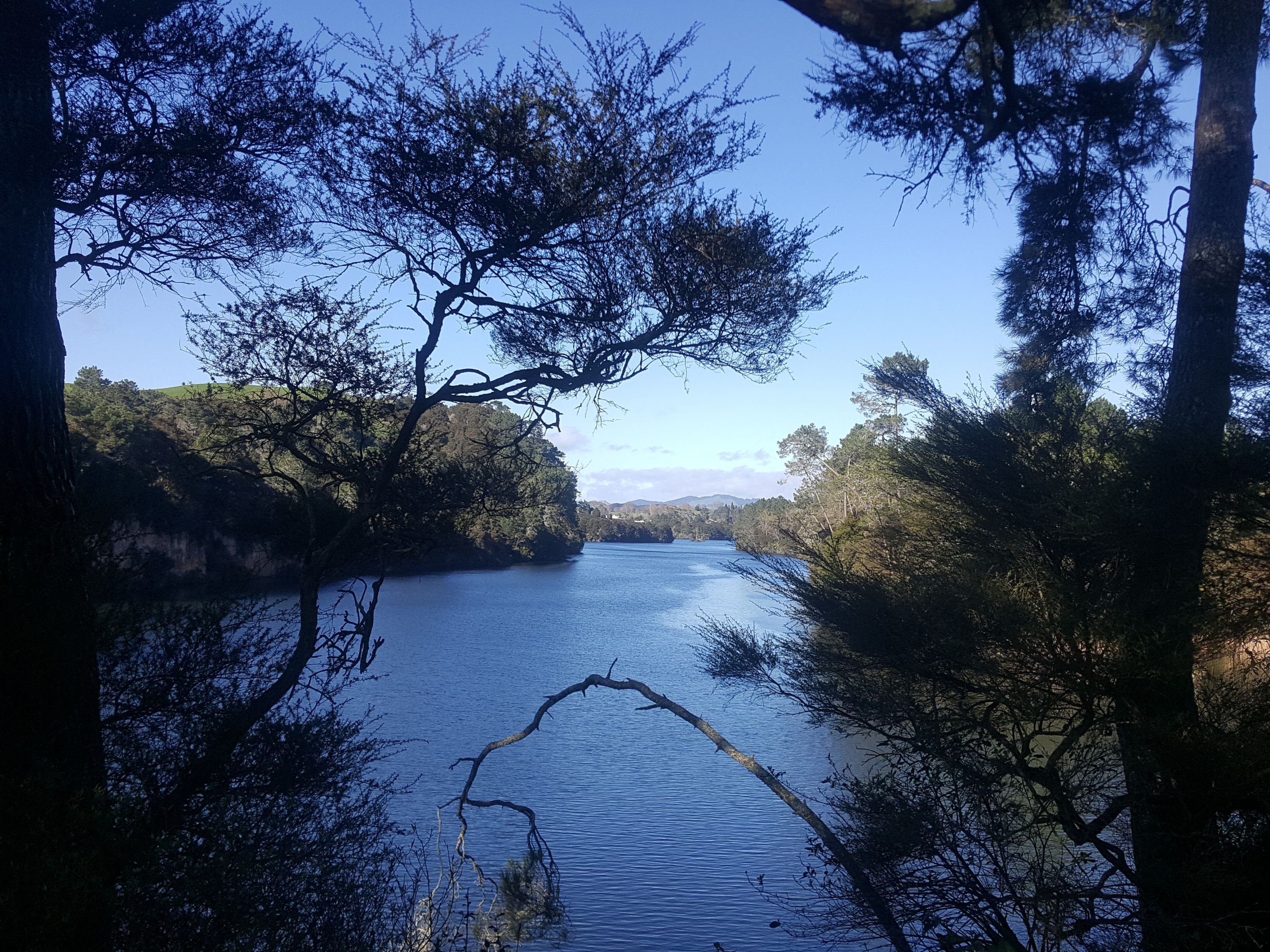 Arapuni Swing Bridge to Jones Landing , Waikato Trails Photo Gallery Wild Things