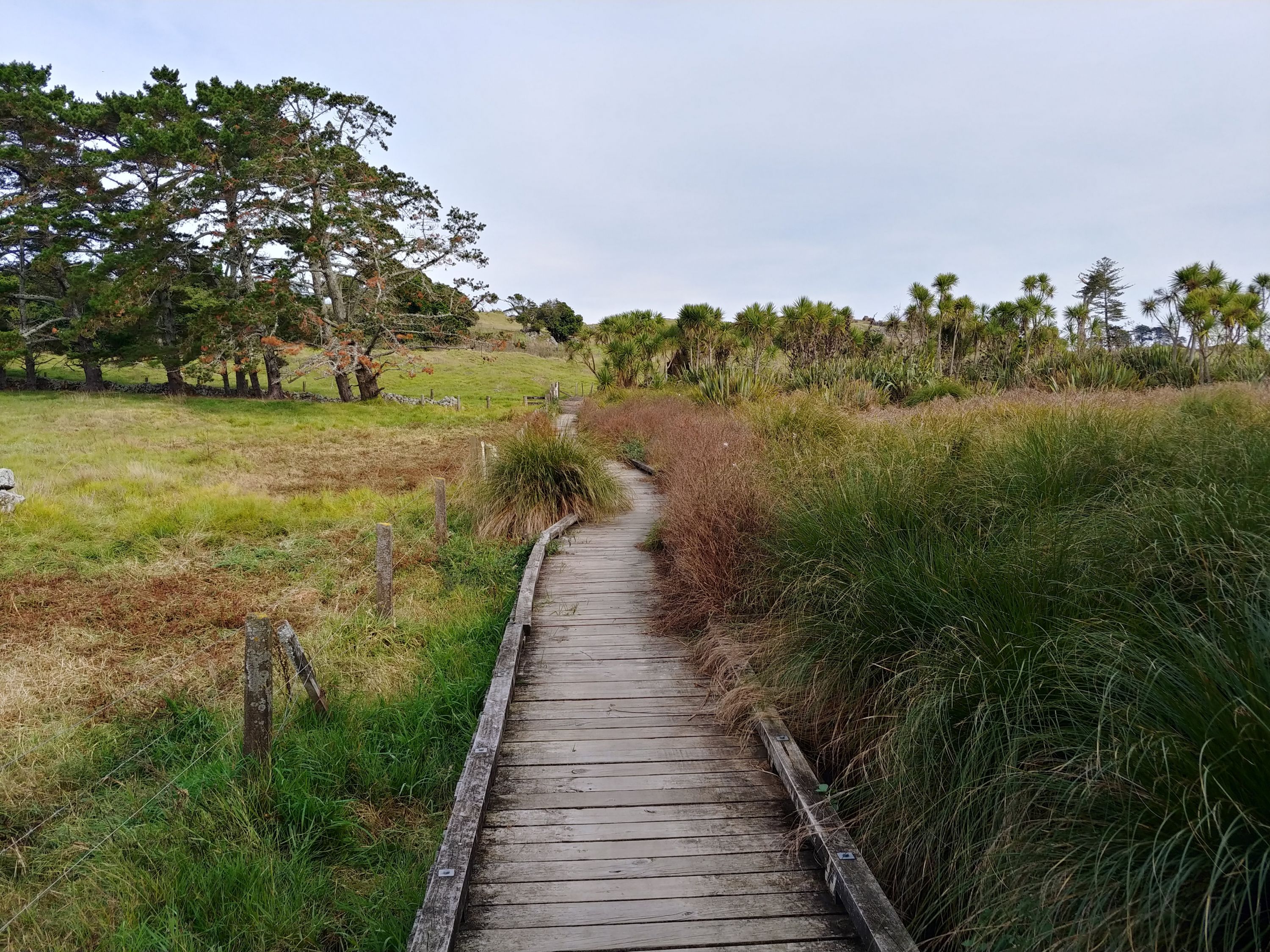 Trails hiding in plain sight