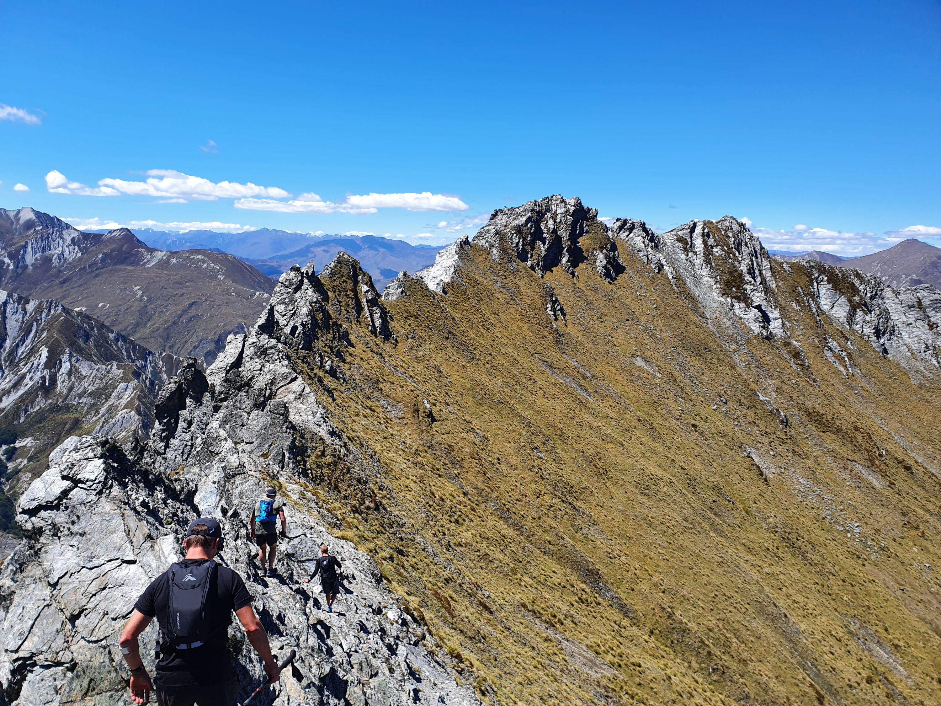 Mount Hanley, Otago Peak Photo Gallery Wild Things
