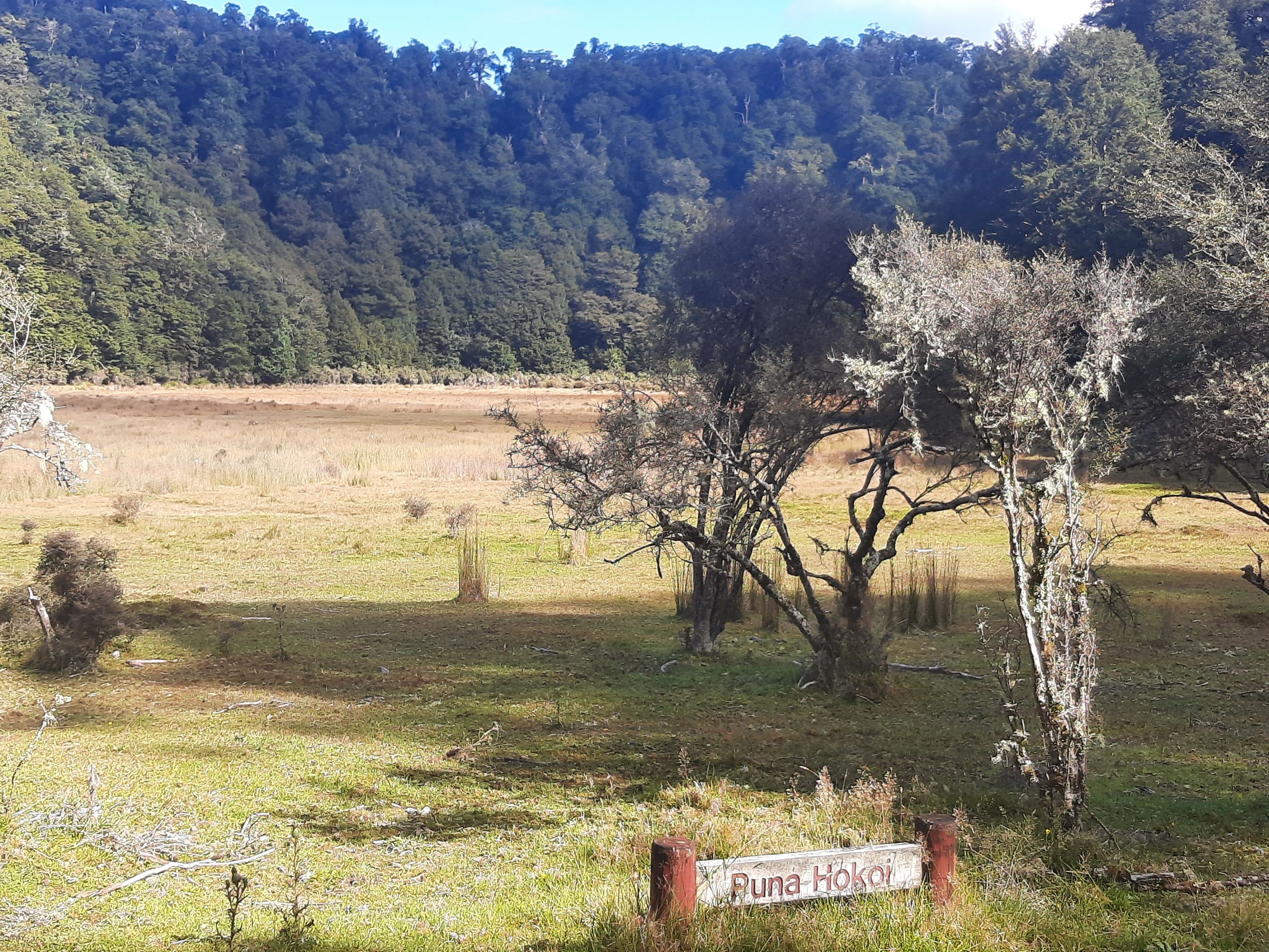 Waikareiti/Ruapani Circuit, Hawkes Bay Trails Photo Gallery Wild Things