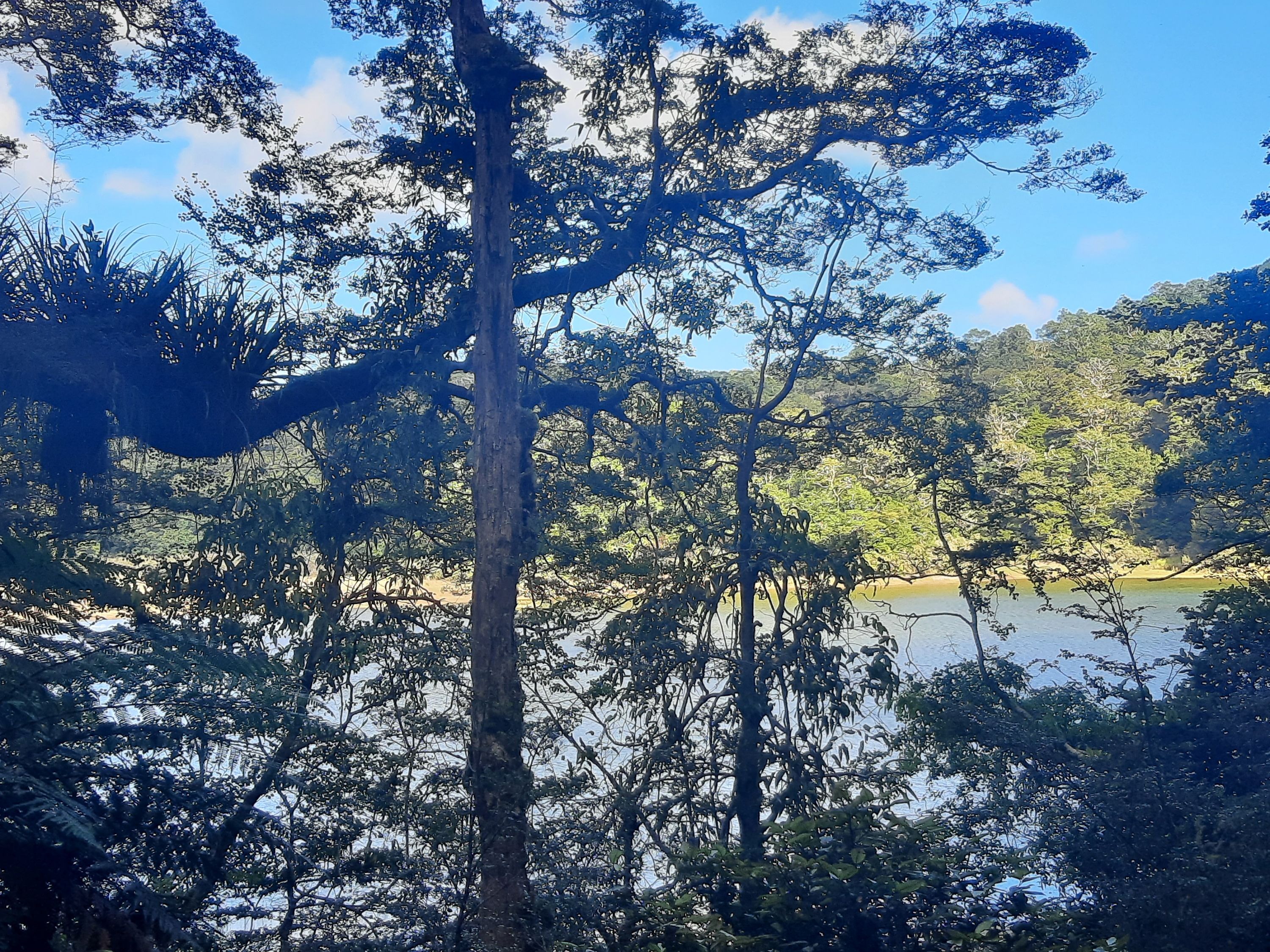 Waikareiti/Ruapani Circuit, Hawkes Bay Trails Photo Gallery Wild Things