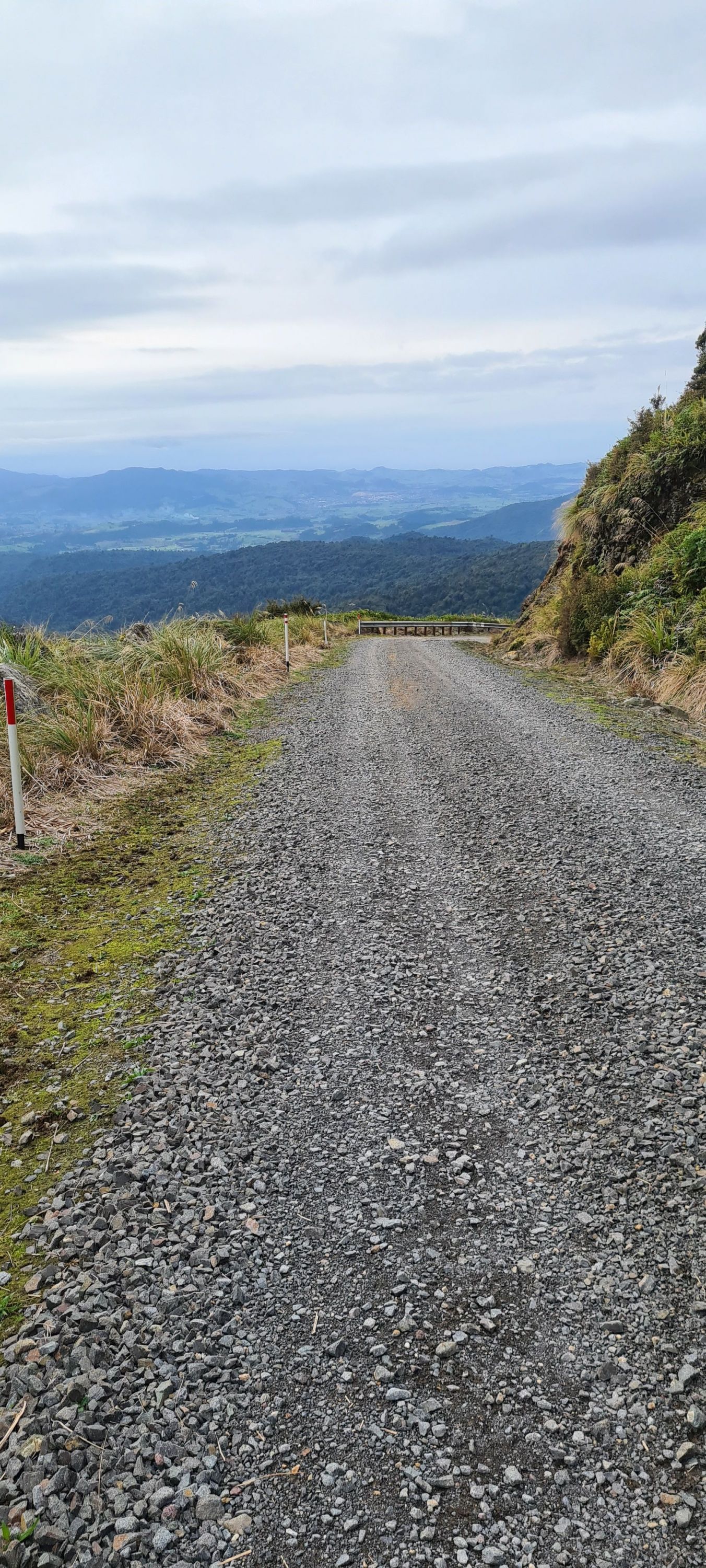 Te Aroha Summit Loop, Waikato Trails Photo Gallery Wild Things