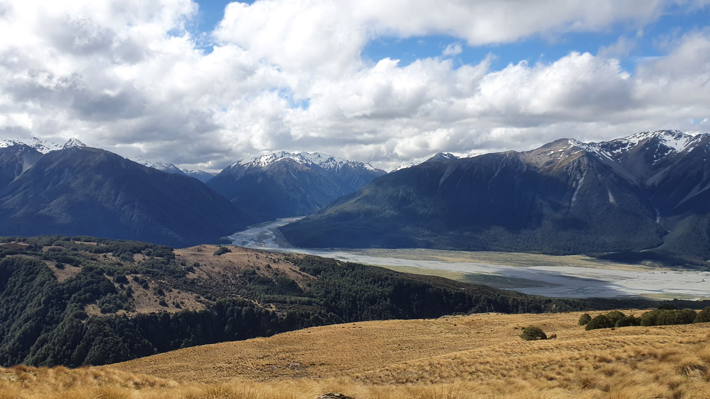 CassLagoon Trail, Canterbury Trails Photo Gallery Wild Things