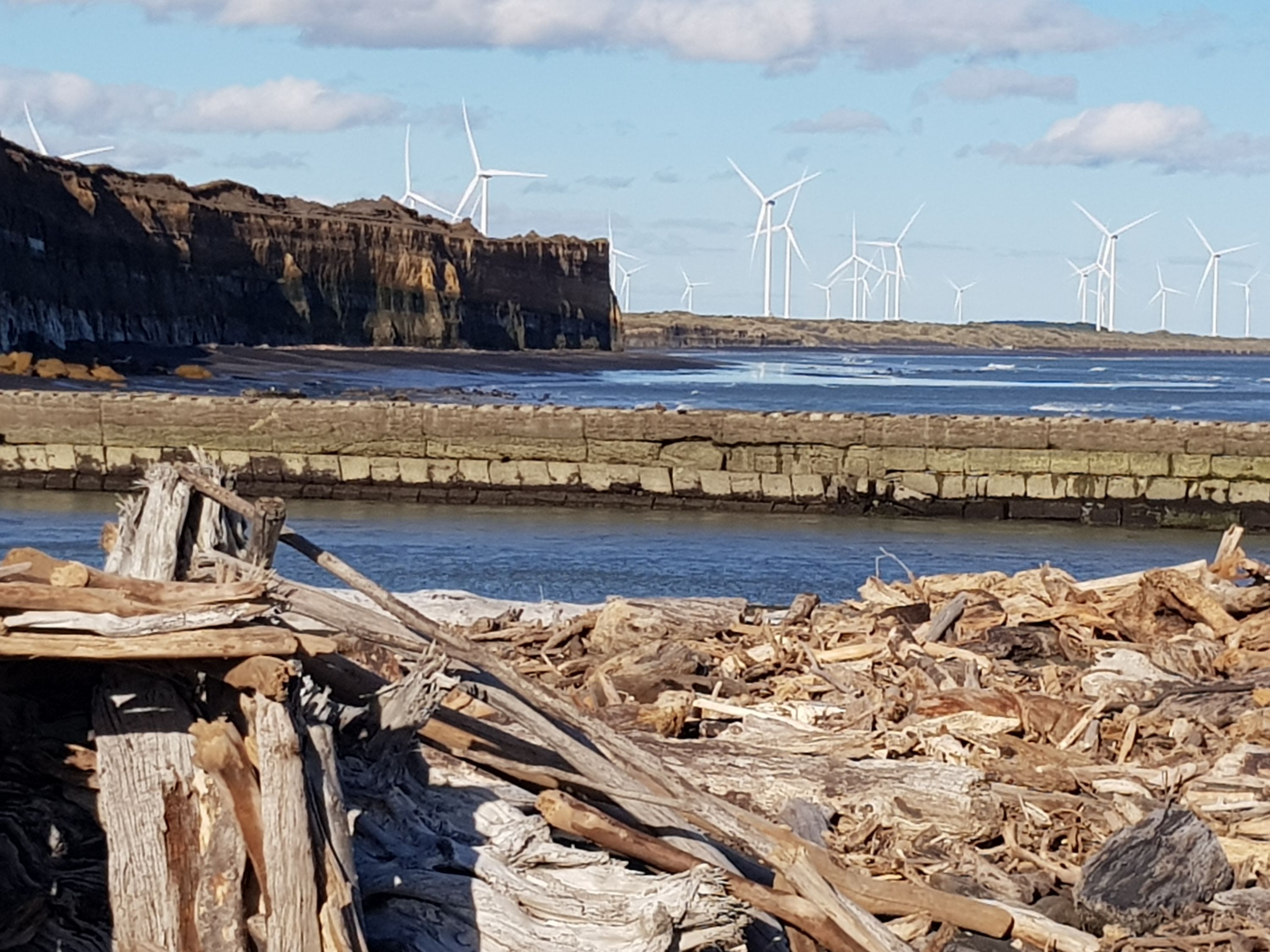 Mana Bay Patea river and beach, Taranaki Trails Photo Gallery Wild Things