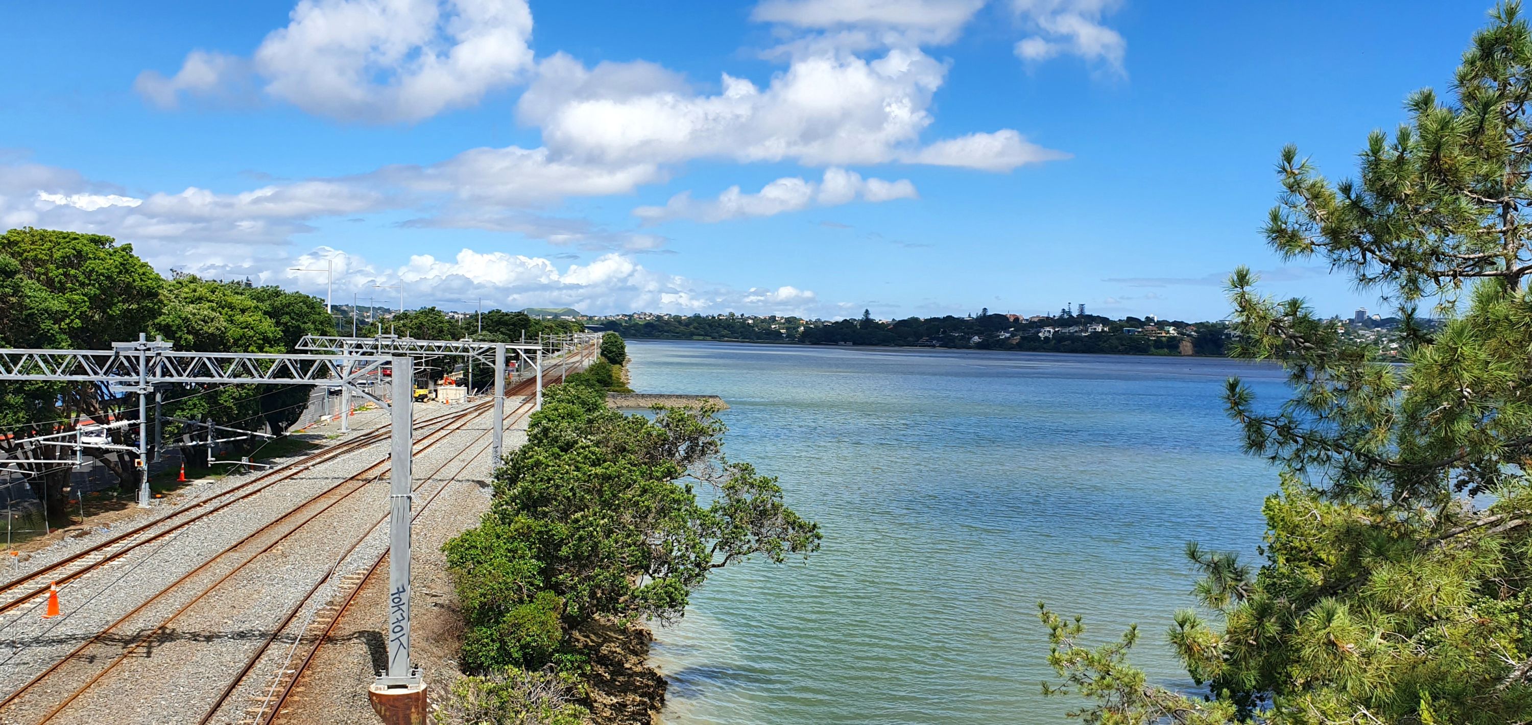 Hobson Bay Loopity, Auckland - Trails Photo Gallery - Wild Things