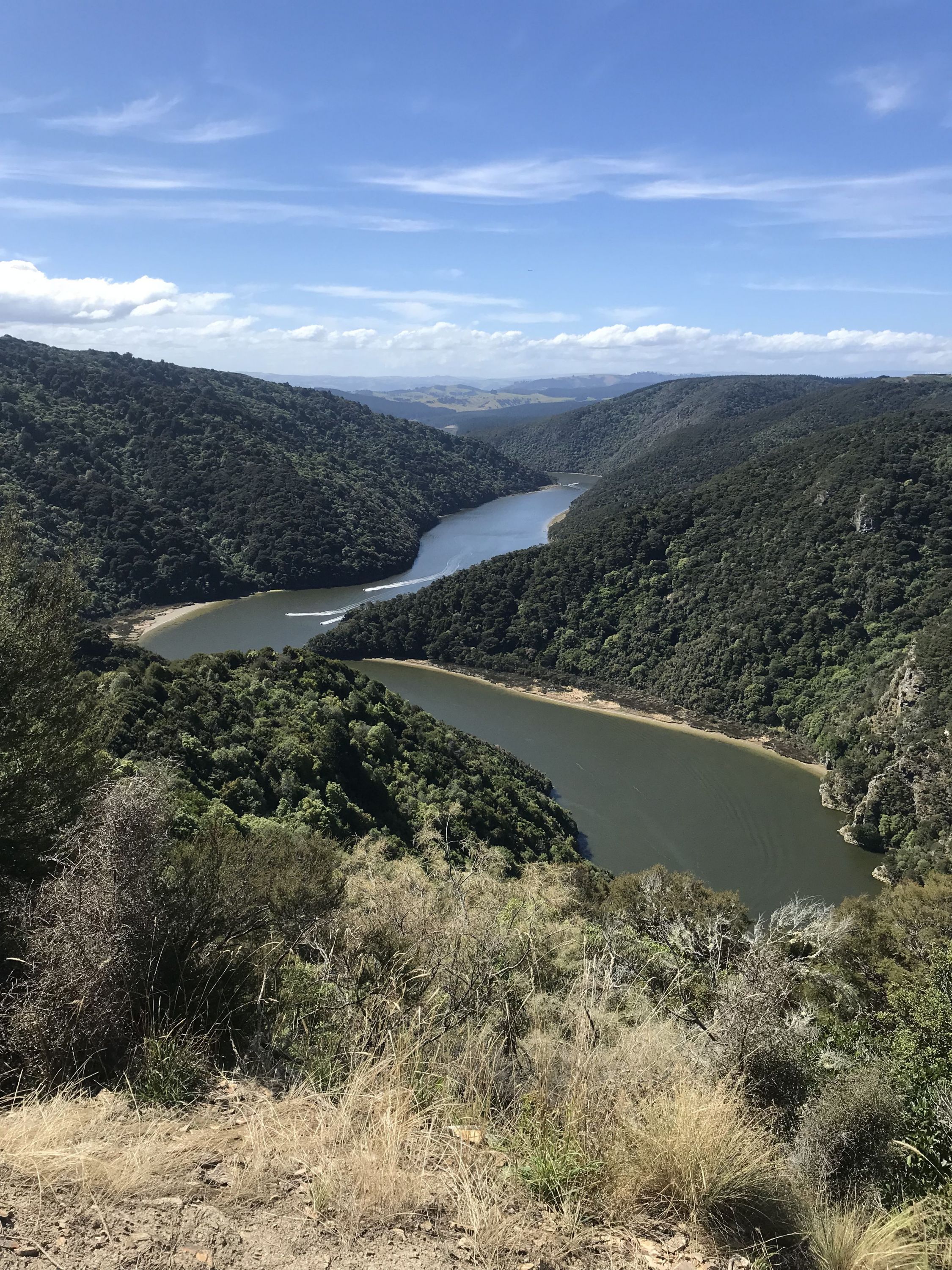 Taieri Mouth Millenium Trail, Otago Trails Photo Gallery Wild Things