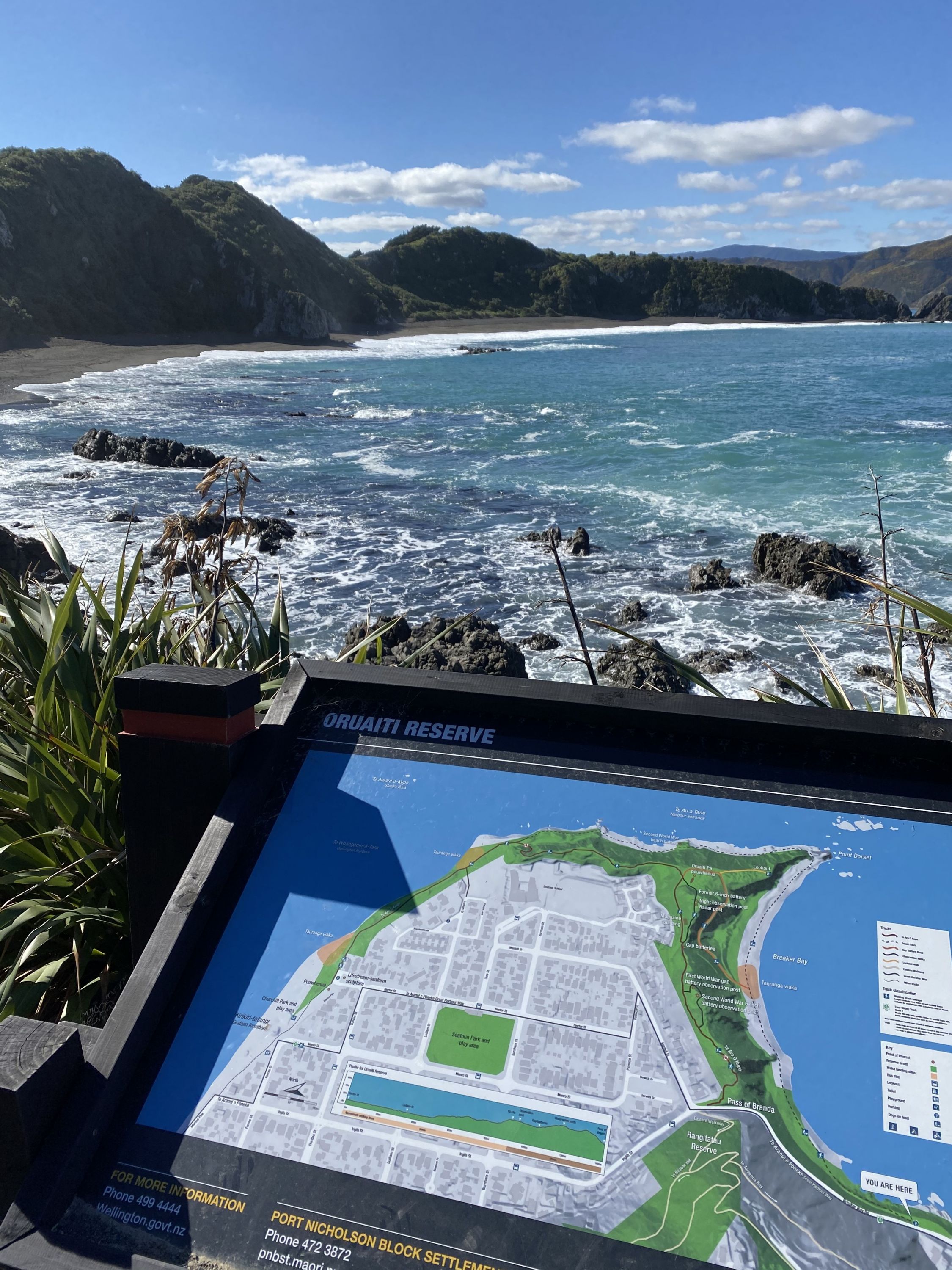 Oruaiti Reserve, Wellington - Trail Run Directory - Wild Things