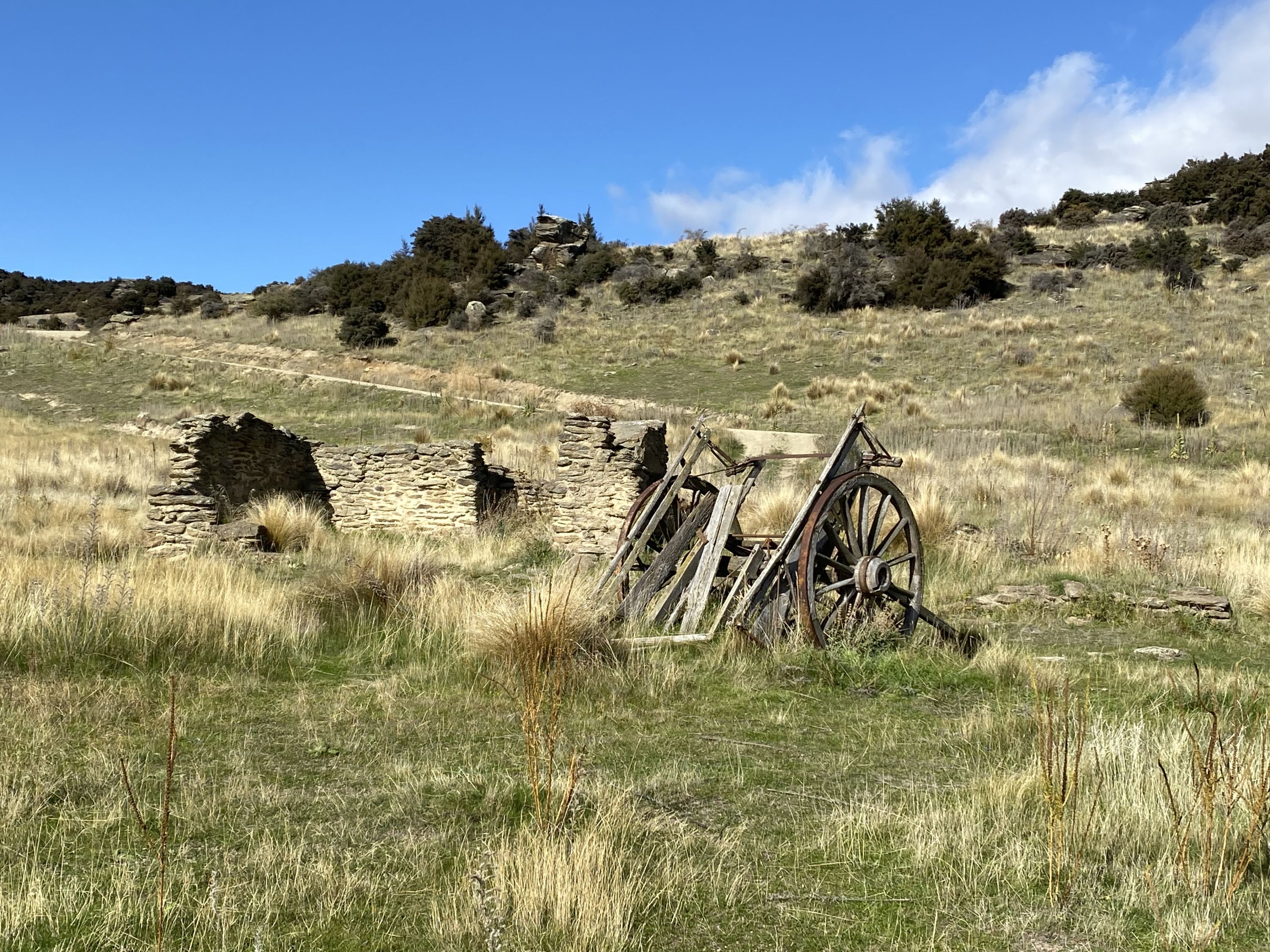Aurora and Kanuka Loops, Otago Trails Photo Gallery Wild Things