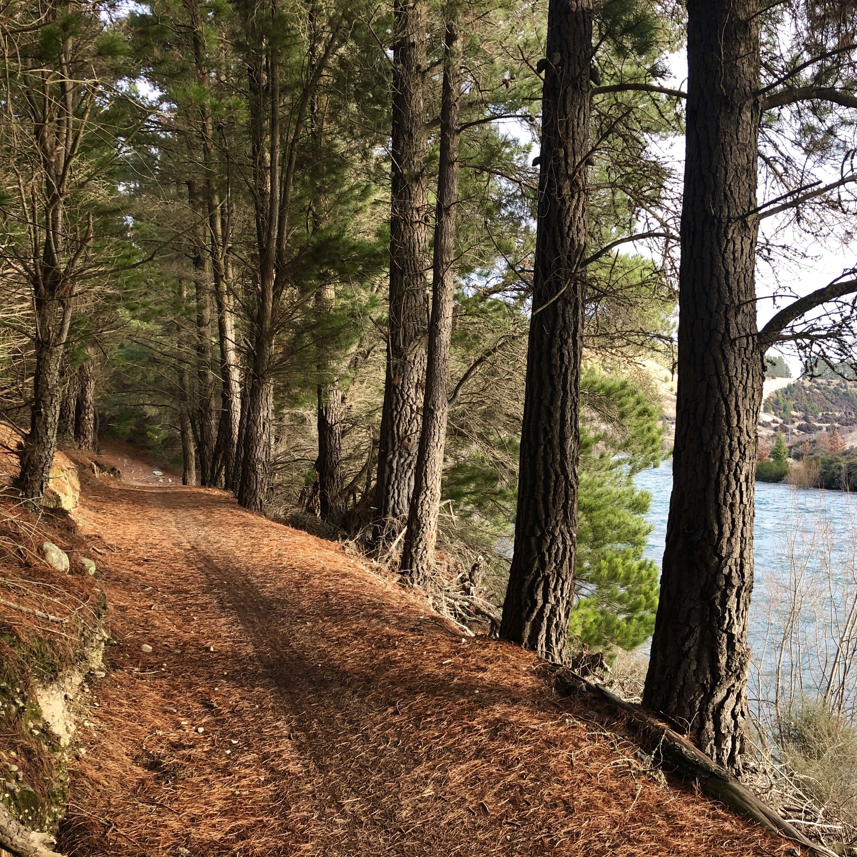 Lakeside trails to big mountain days