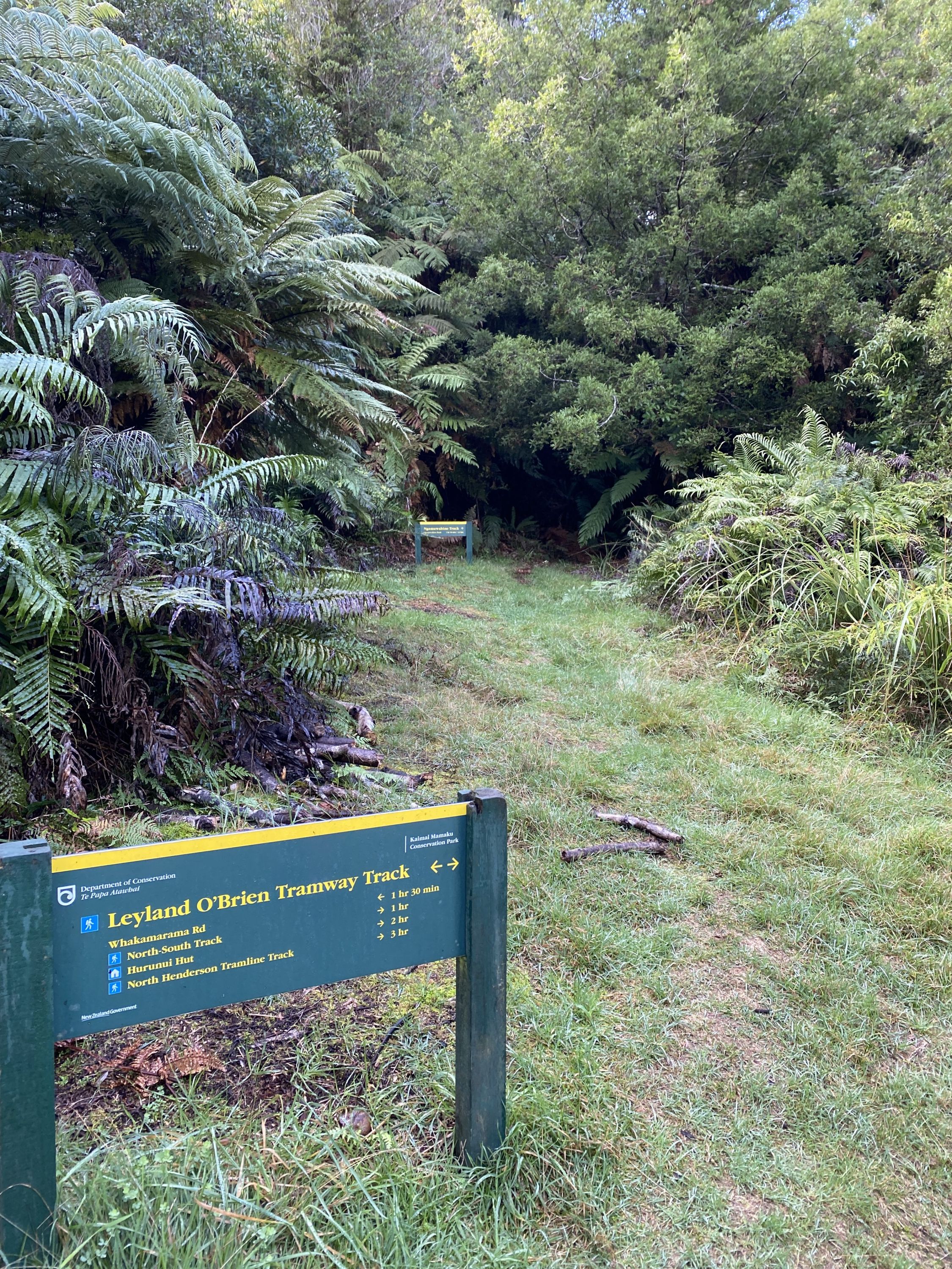 Whakamarama Loop, Bay of Plenty Trails Photo Gallery Wild Things