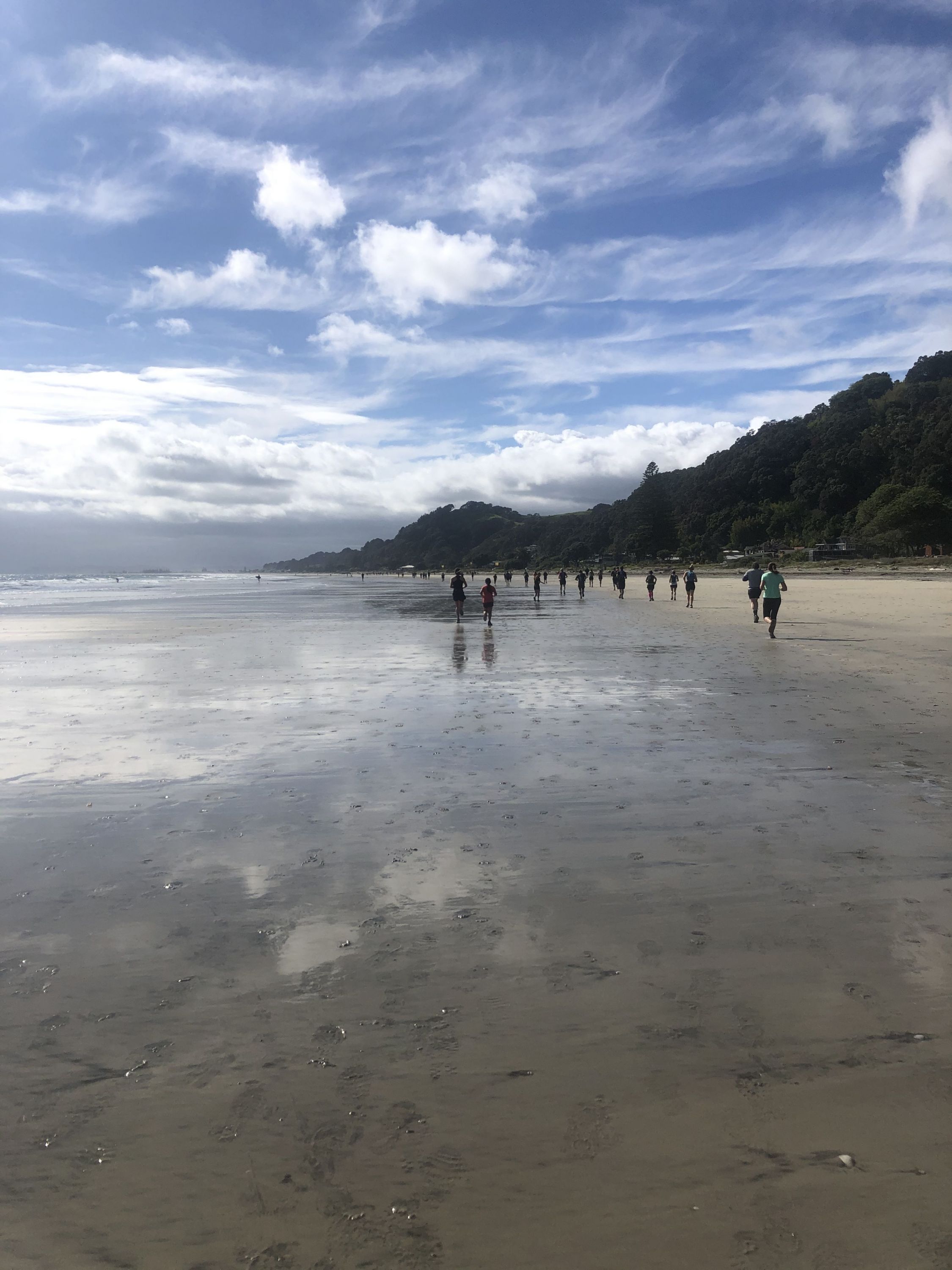 Nga Tapuwae o Toi Trail by Lauren Mai Anderson