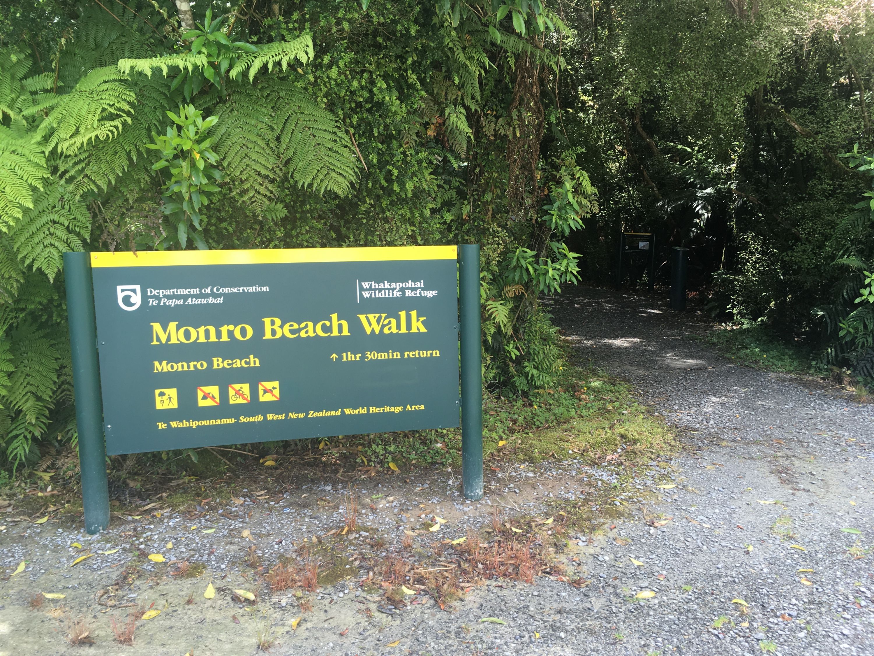 Monro Beach Track, West Coast Trails Photo Gallery Wild Things