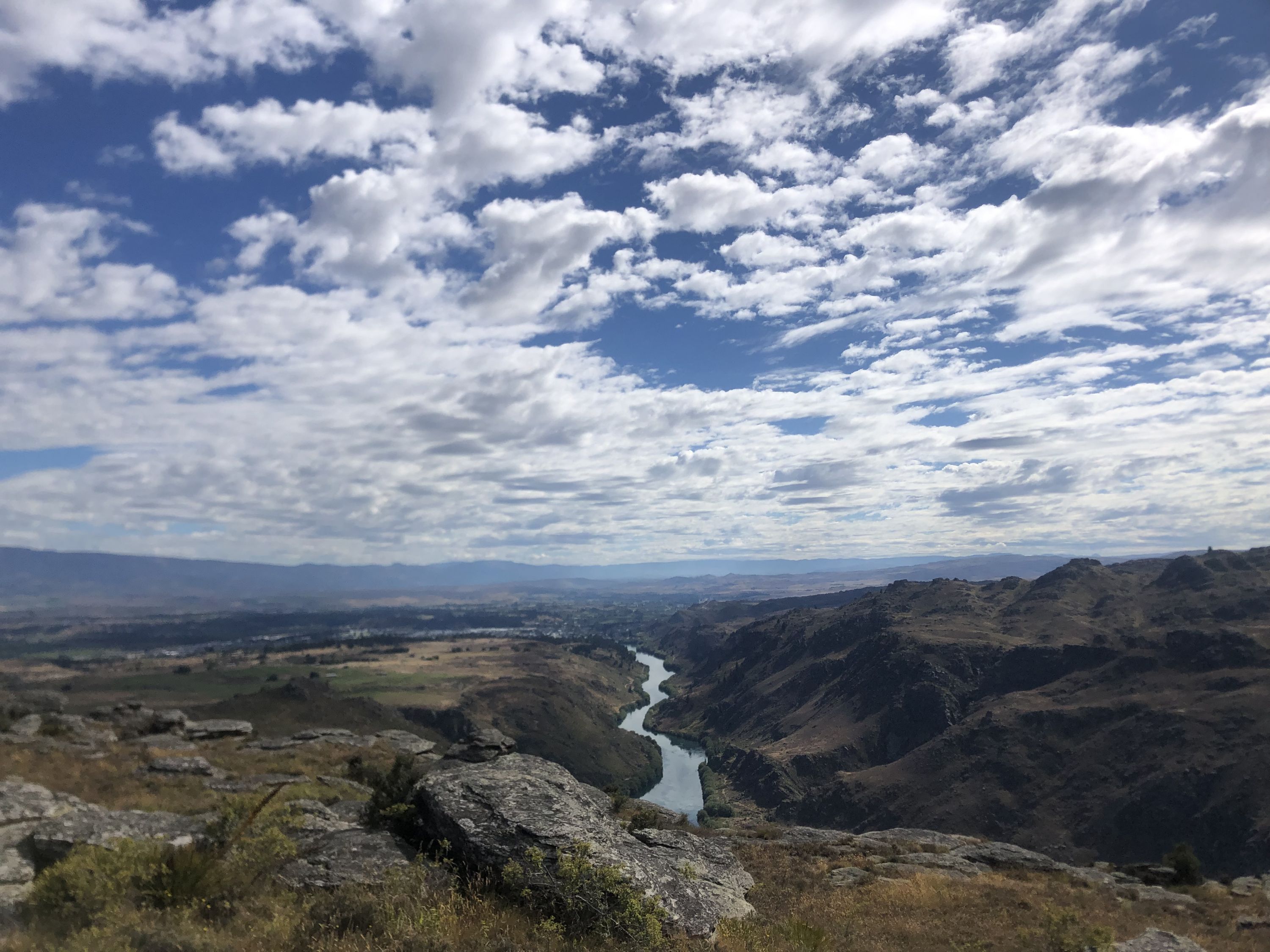 Flat Top Hill, Otago Trails Photo Gallery Wild Things