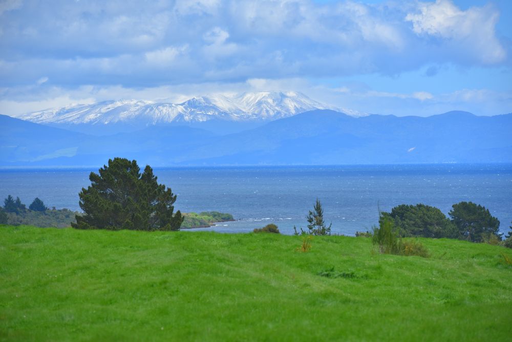 Taupo Ultra 74km - a newbie's experience