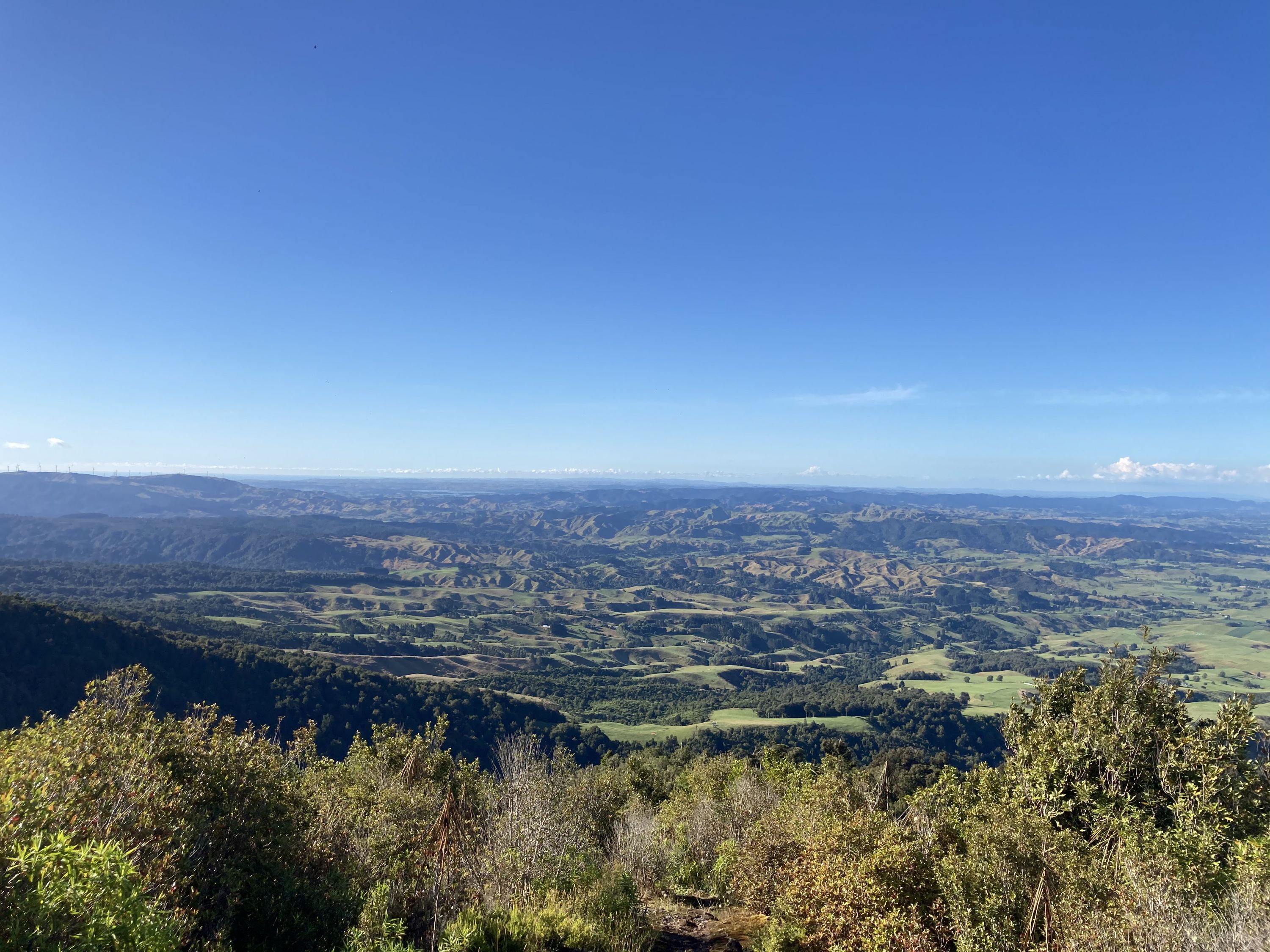 Ruapane Leg Burner, Waikato - Trails Photo Gallery - Wild Things