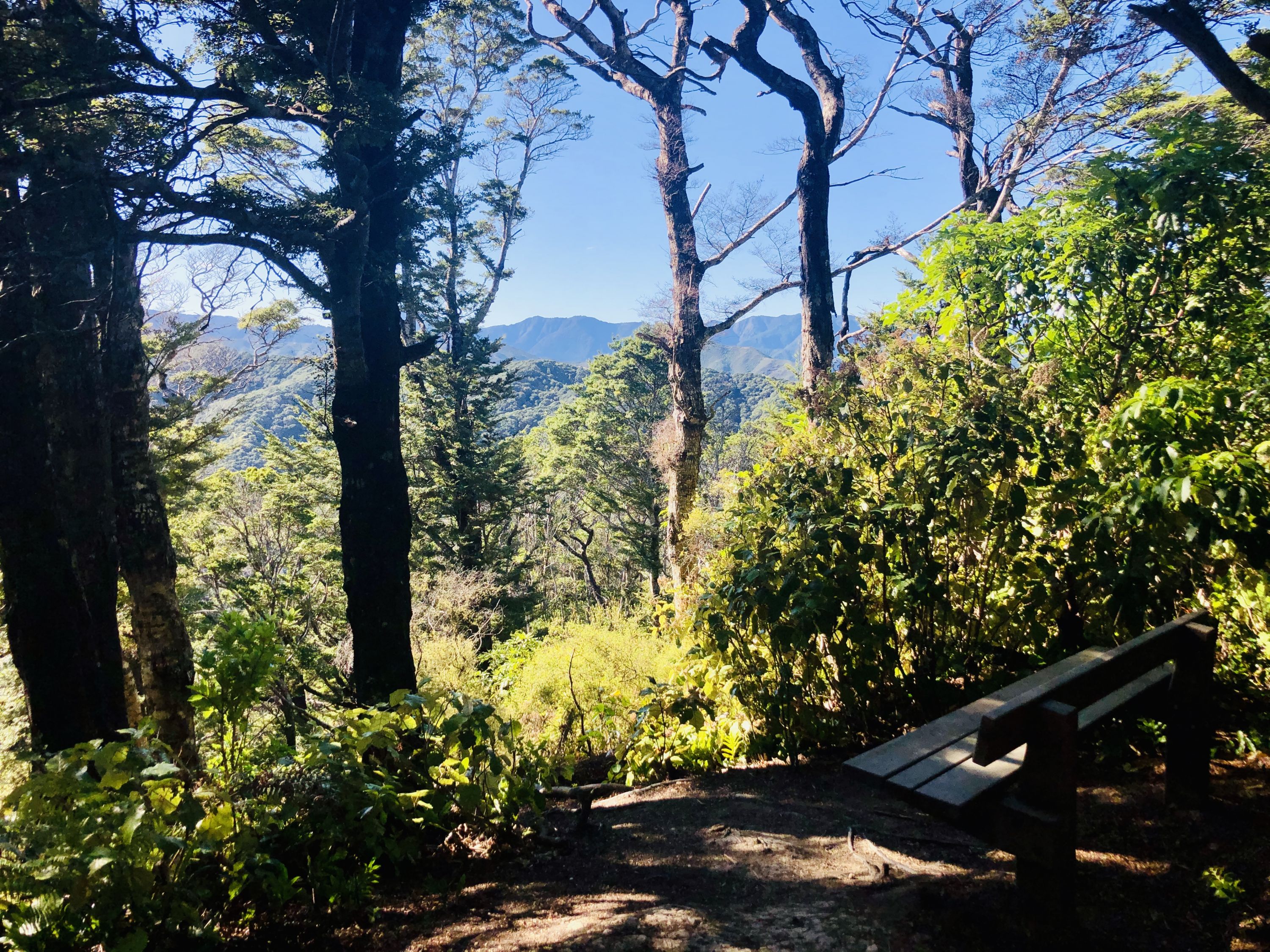 Eastbourne Ridge Loop, Wellington - Trails Photo Gallery - Wild Things