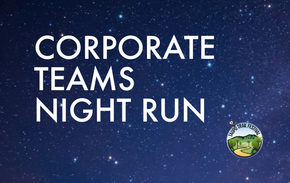 Corporate Teams Night Run