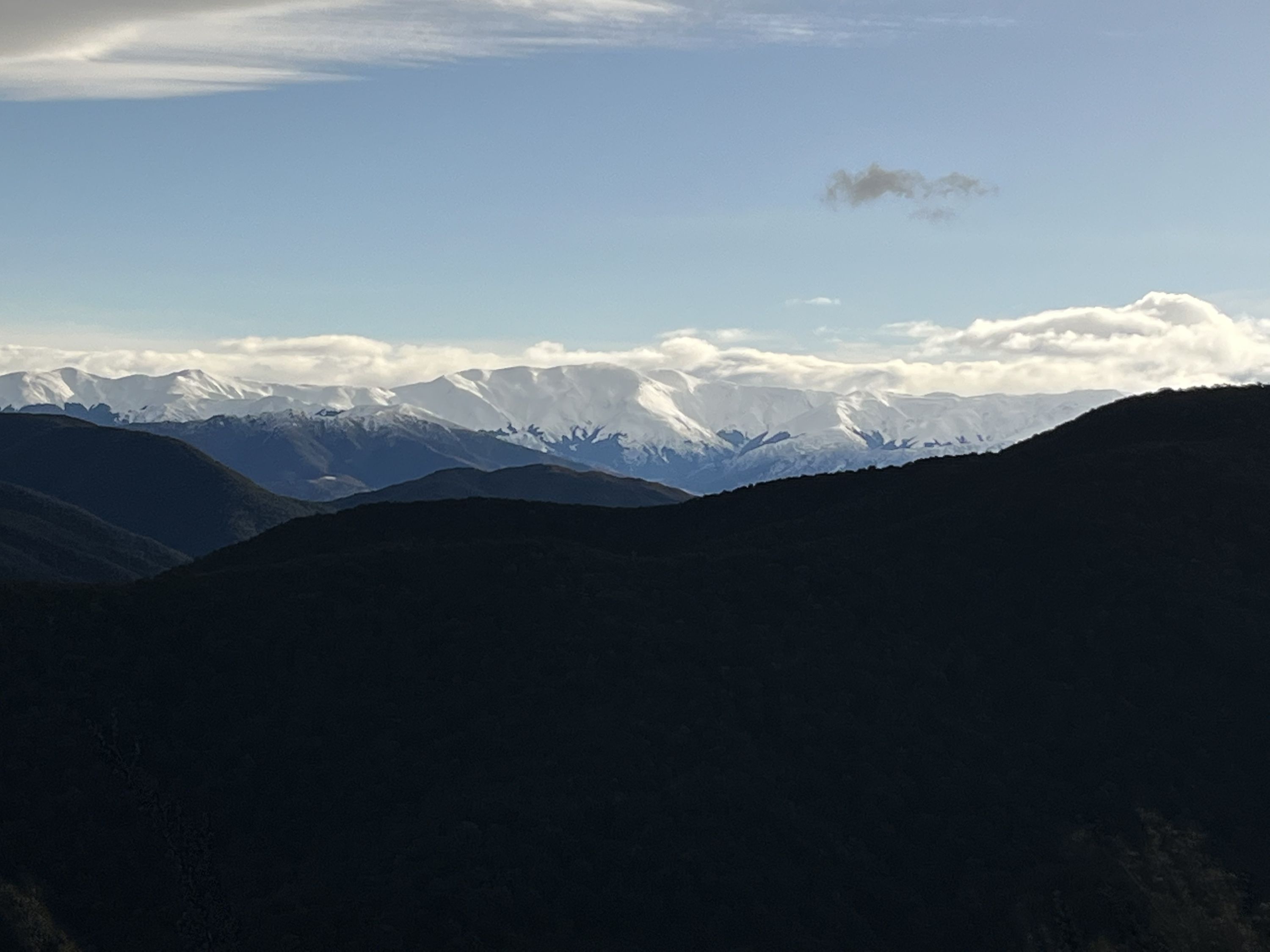 Mt Thomas Direct!, Canterbury Trails Photo Gallery Wild Things