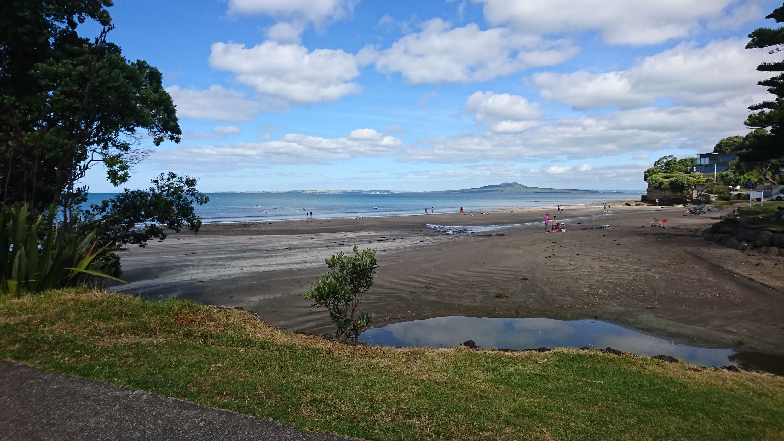 Campbells to Browns Bay, Auckland Trails Photo Gallery Wild Things