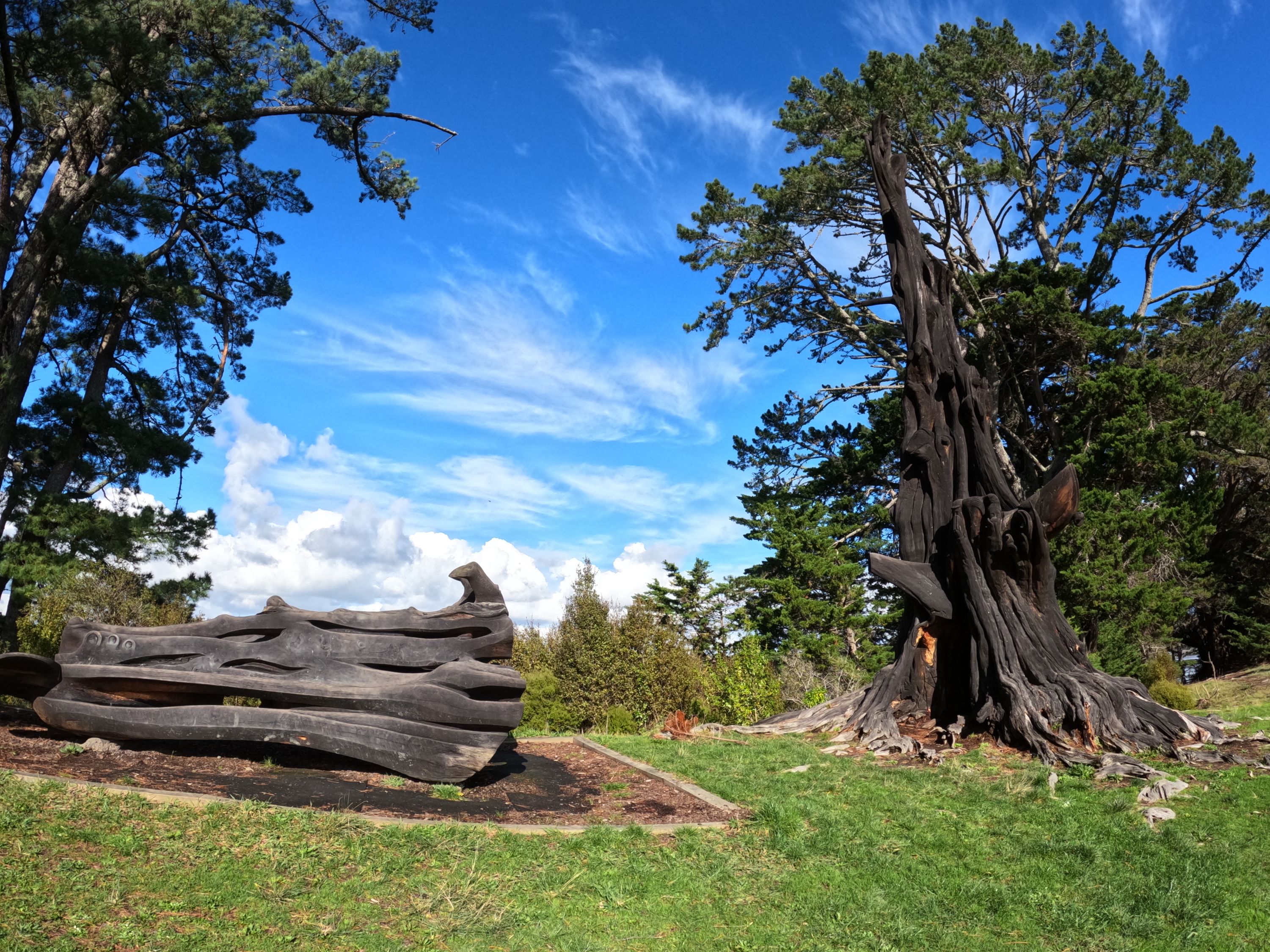 Sanders Reserve, Auckland Trails Photo Gallery Wild Things
