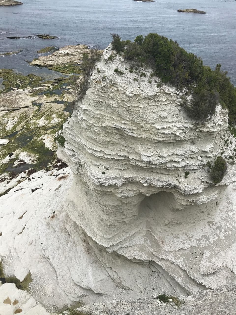 Kaikoura Cracker, Canterbury, New Zealand - Trail Running