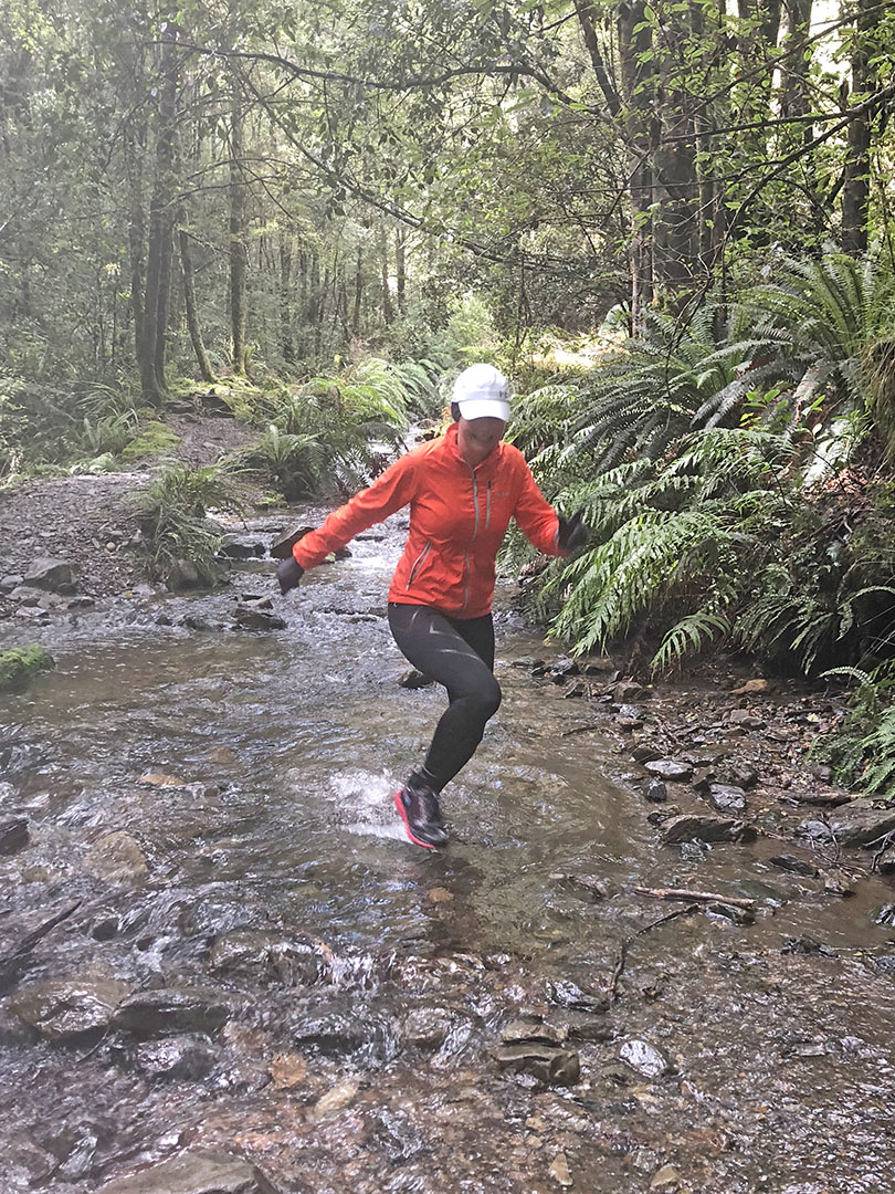 Pillars of Hercules , Waikato Trails Photo Gallery Wild Things