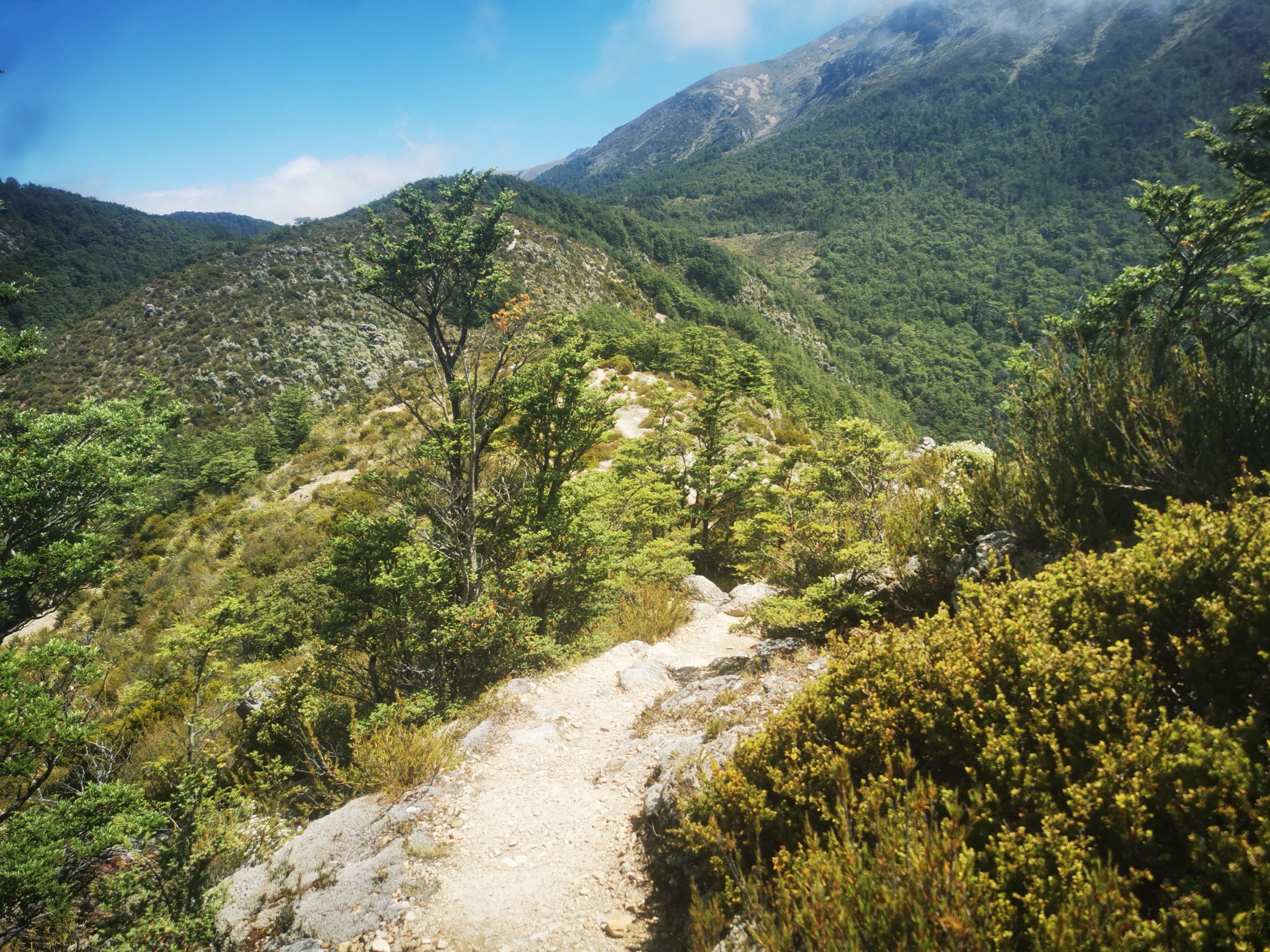 Mt Somers Round The Mountain, Canterbury Trails Photo Gallery
