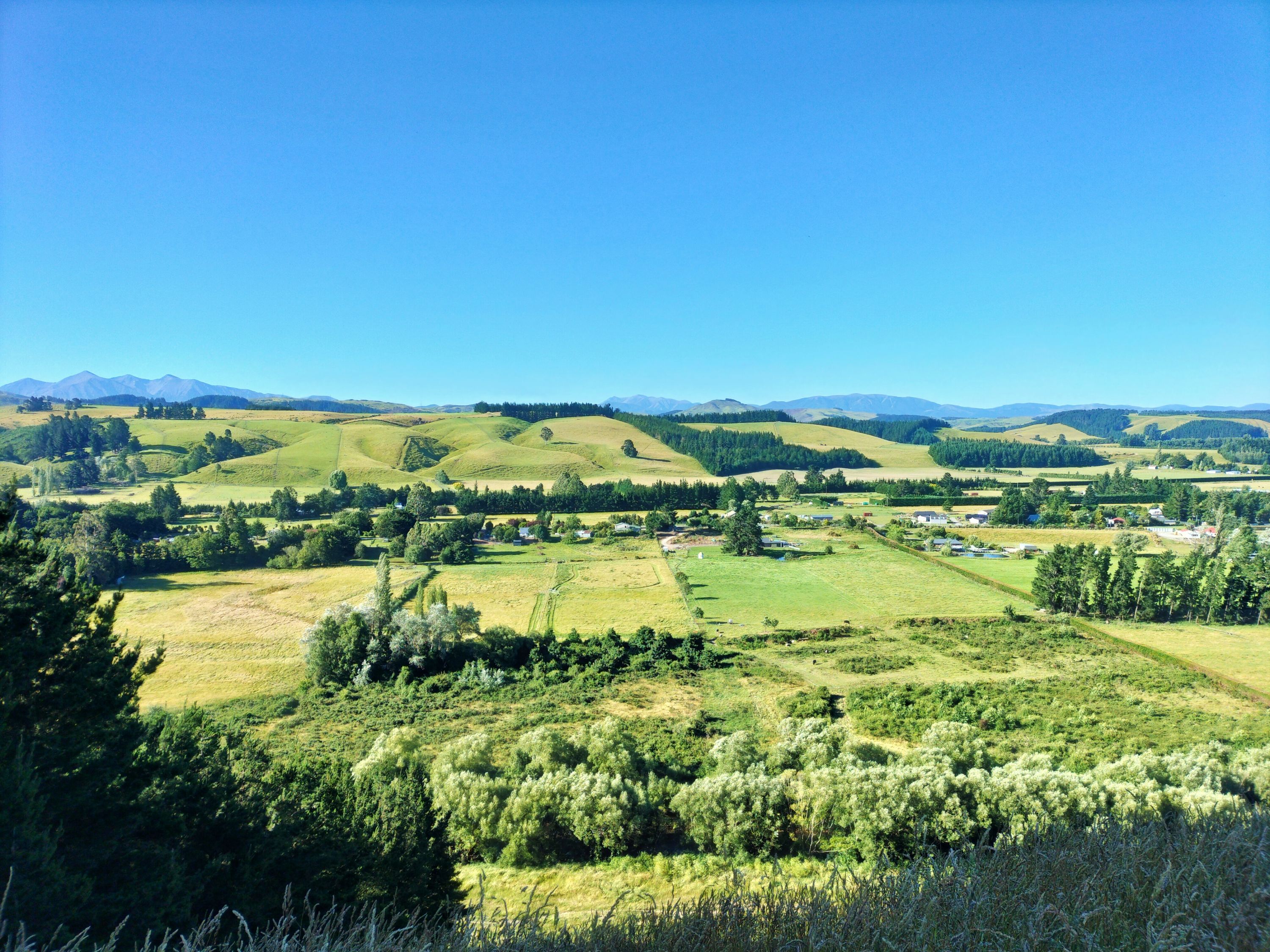 Coalgate Crusher, Canterbury Trails Photo Gallery Wild Things