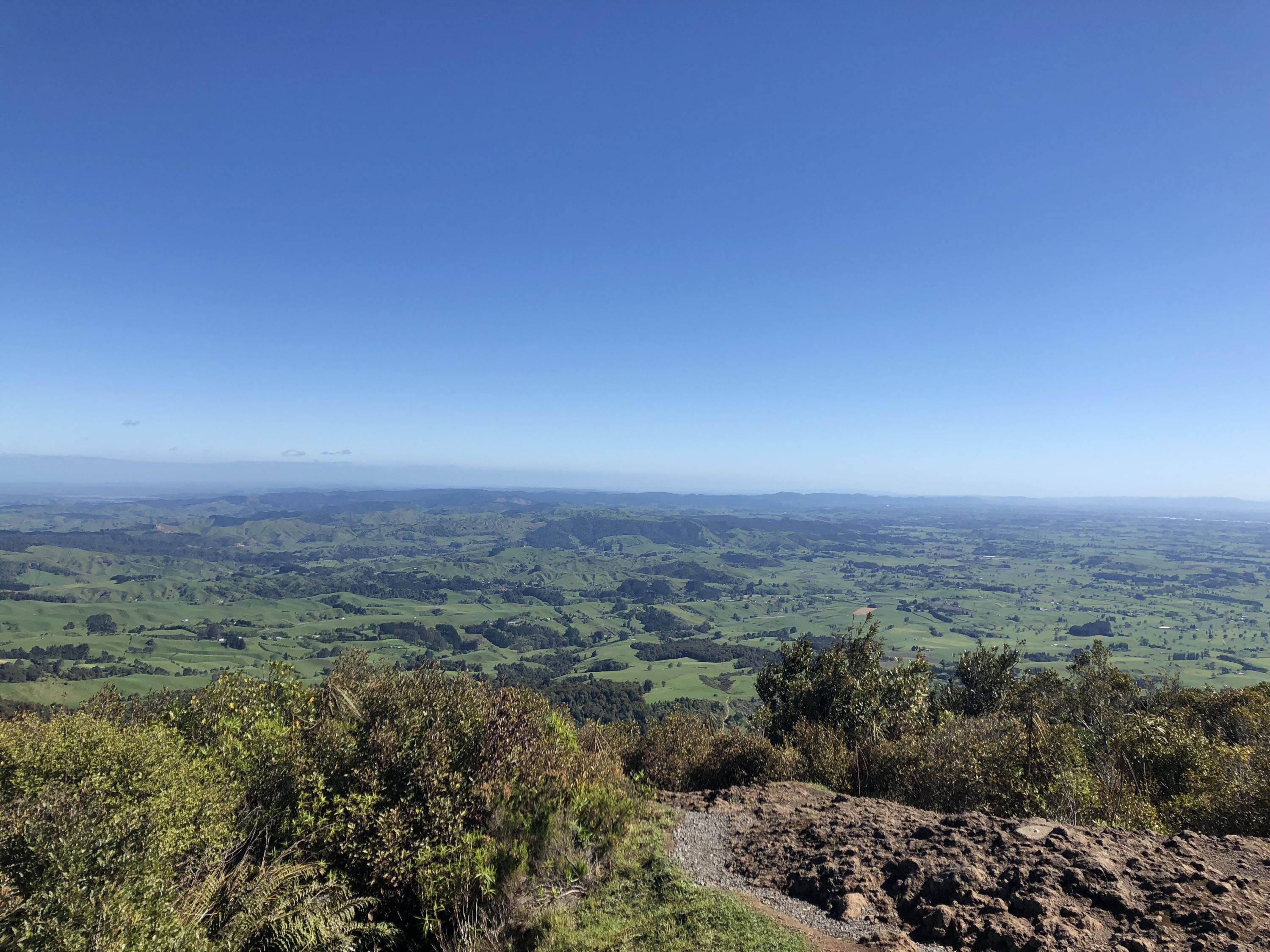 Ruapane Leg Burner, Waikato - Trails Photo Gallery - Wild Things