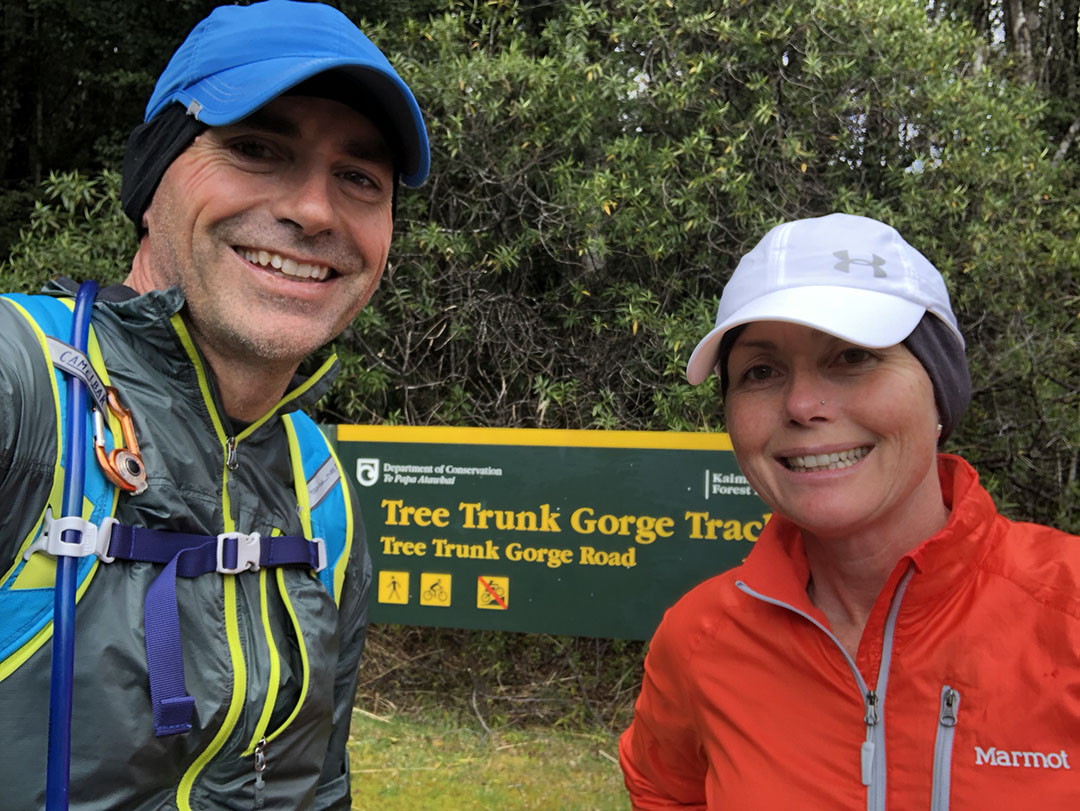 Pillars of Hercules , Waikato Trails Photo Gallery Wild Things