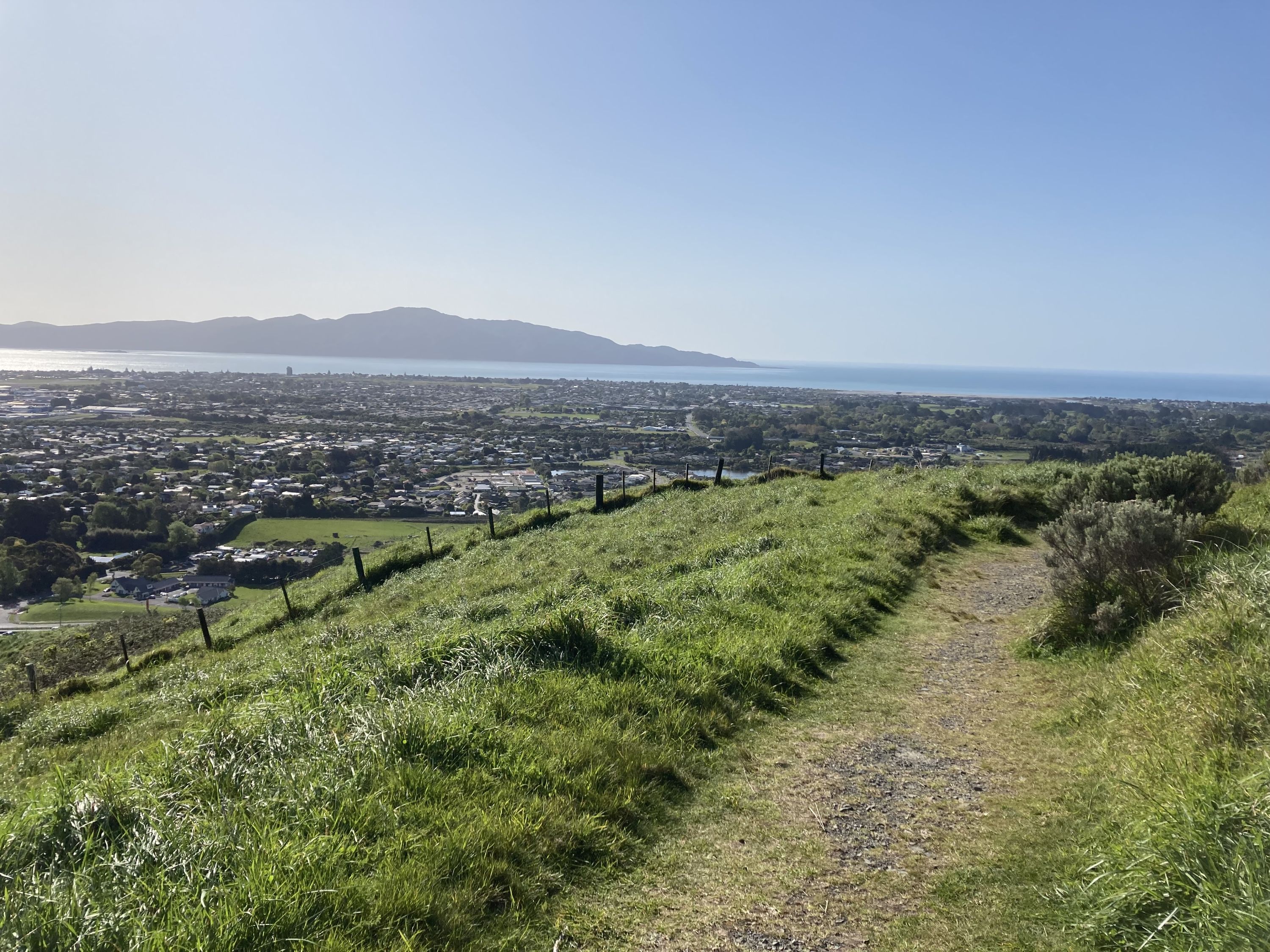 Bright Ridge Skyline Trail, Wellington - Trails Photo Gallery - Wild Things