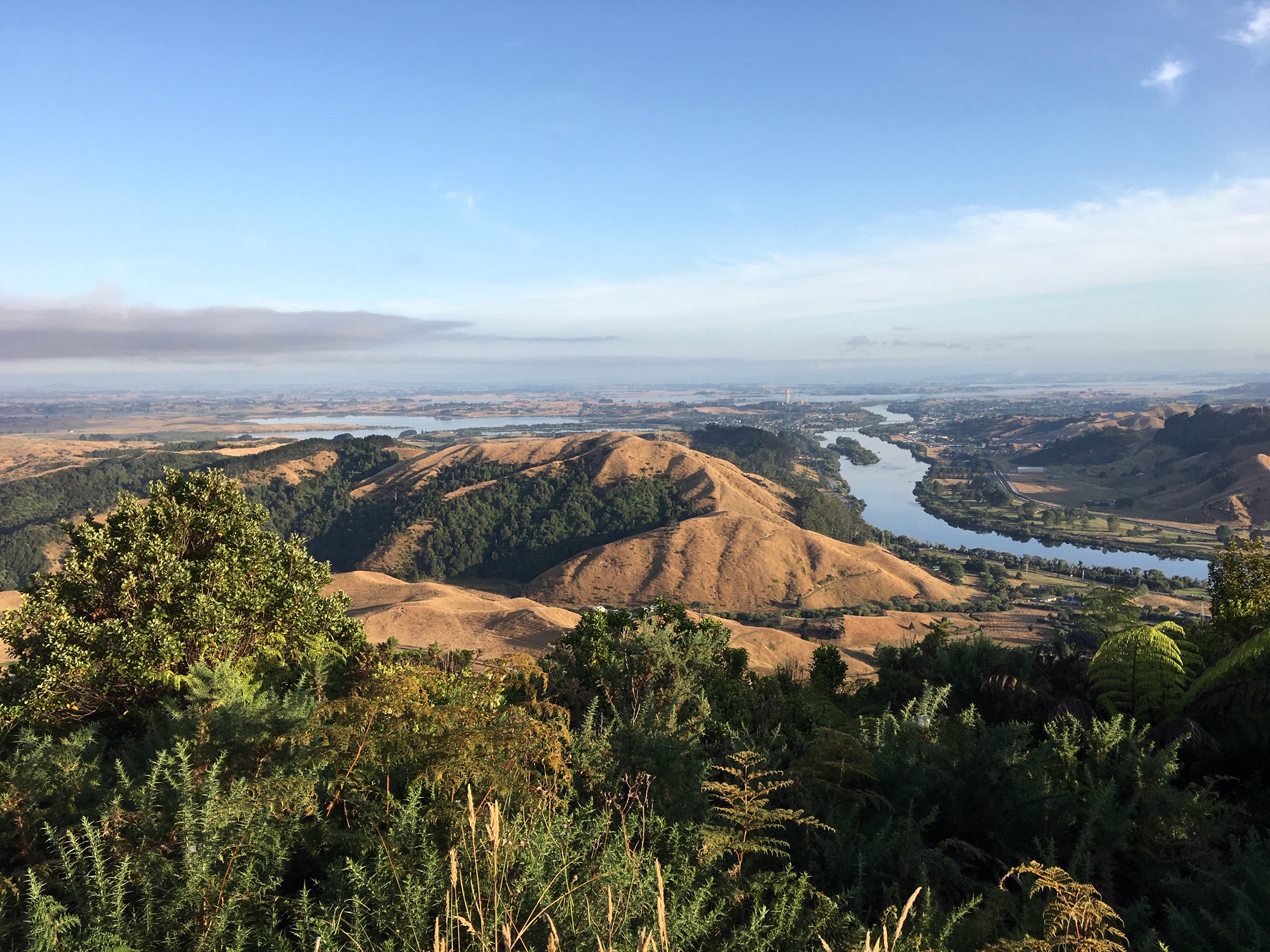 Hakarimata, Brownlee Ave Loop., Waikato Trails Photo Gallery Wild