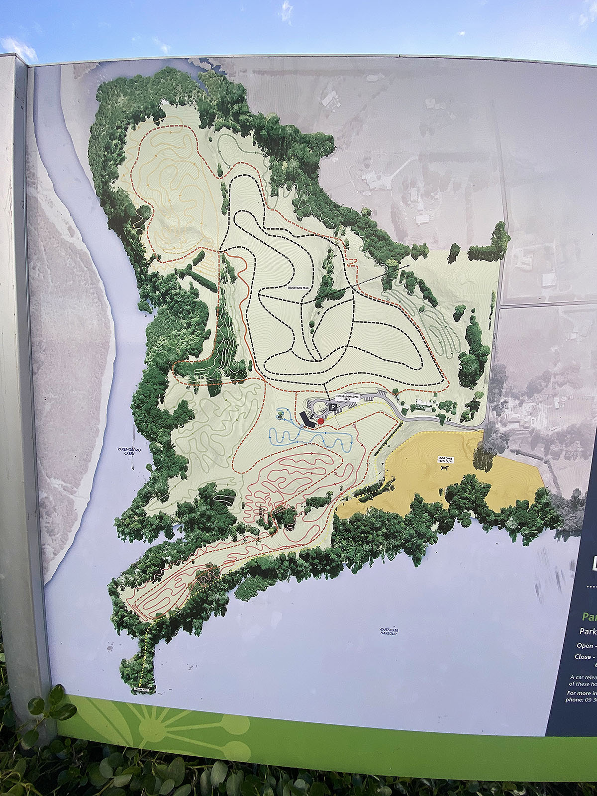 Sanders Reserve, Auckland Trails Photo Gallery Wild Things