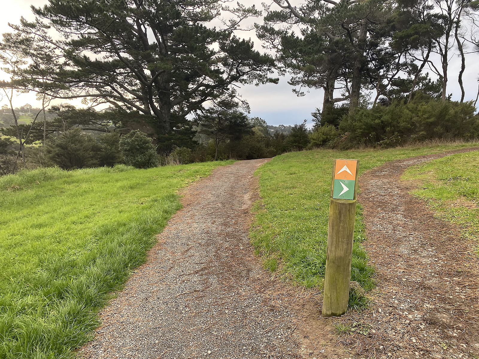 Sanders Reserve, Auckland Trails Photo Gallery Wild Things