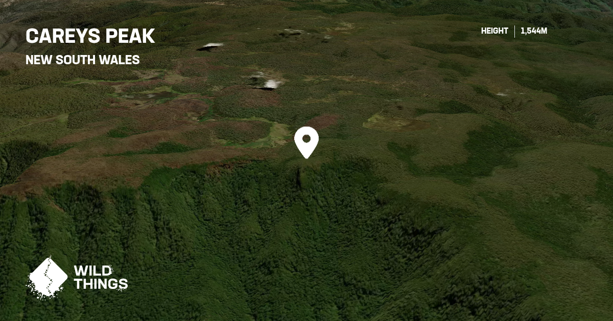 Careys Peak, New South Wales, Australia - Peak Directory - Wild Things