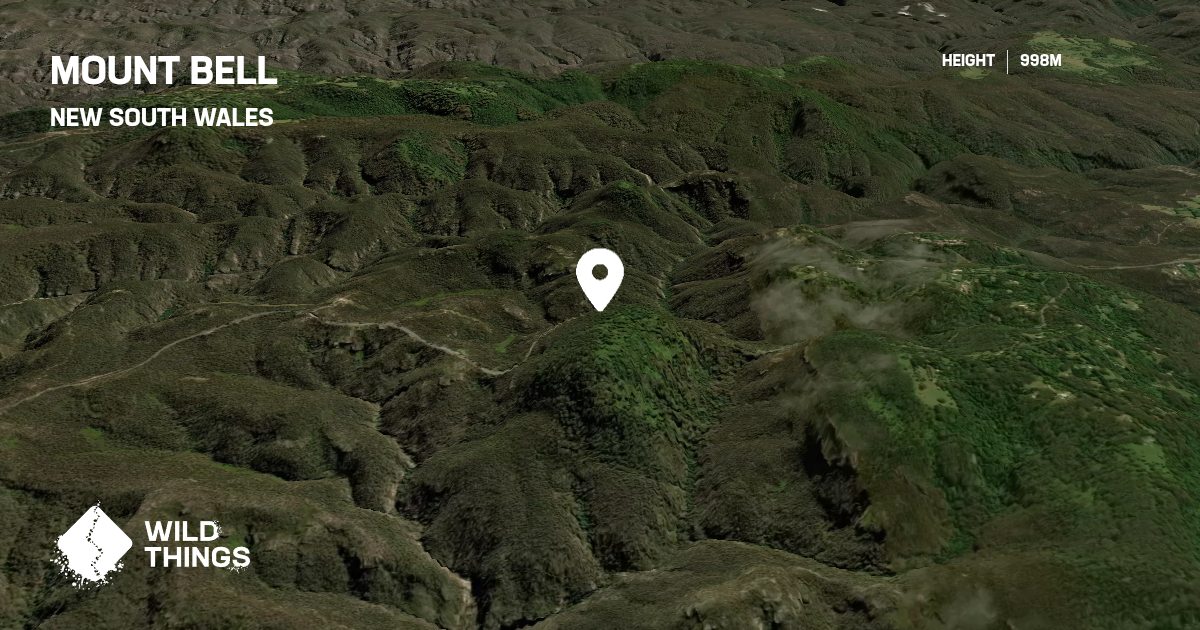 Mount Bell, New South Wales, Australia - Peak Directory - Wild Things