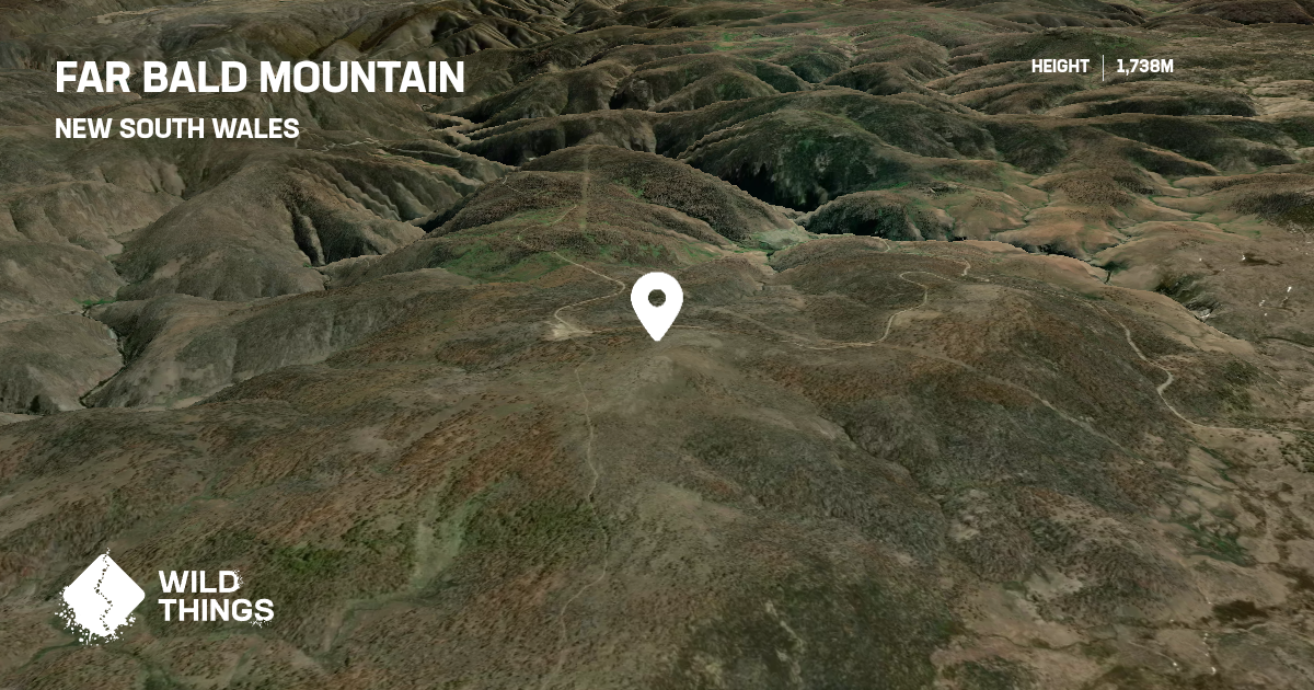 Far Bald Mountain, New South Wales, Australia - Peak Directory - Wild ...