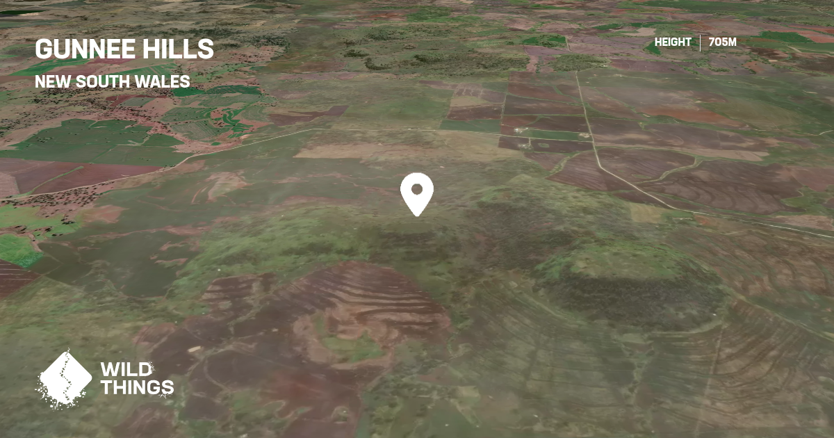 Gunnee Hills, New South Wales, Australia - Peak Directory - Wild Things