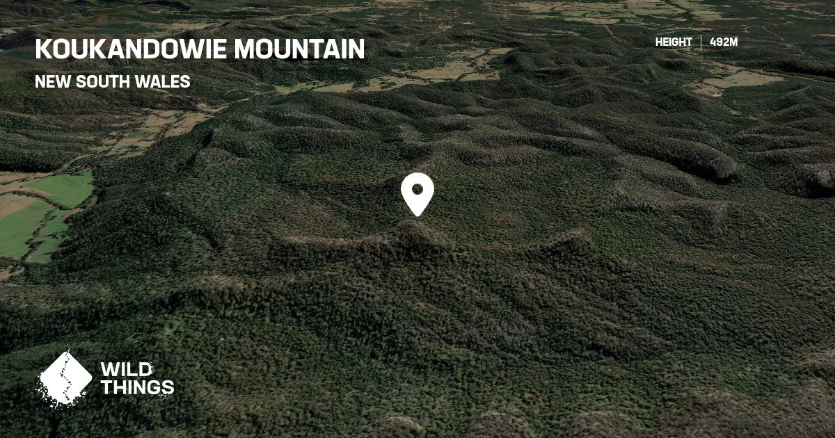 Koukandowie Mountain, New South Wales, Australia - Peak Directory ...