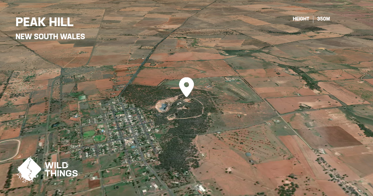 Peak Hill, New South Wales, Australia - Peak Directory - Wild Things