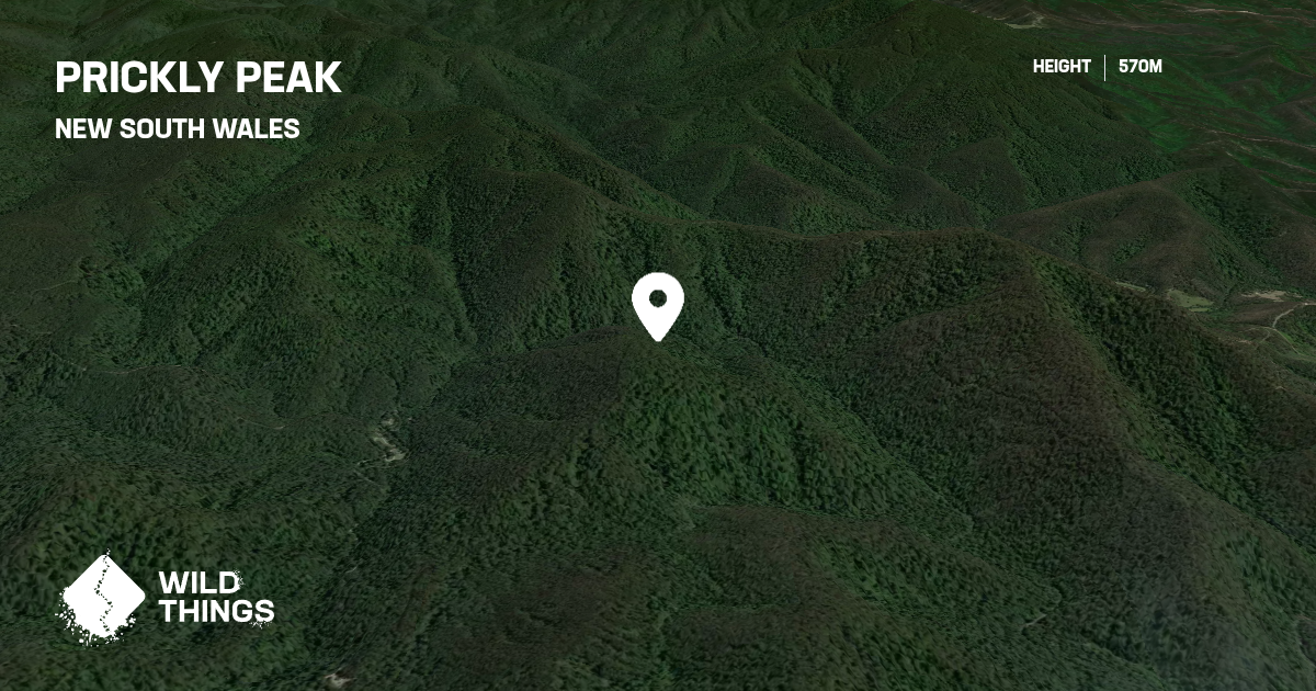Prickly Peak, New South Wales, Australia - Peak Directory - Wild Things