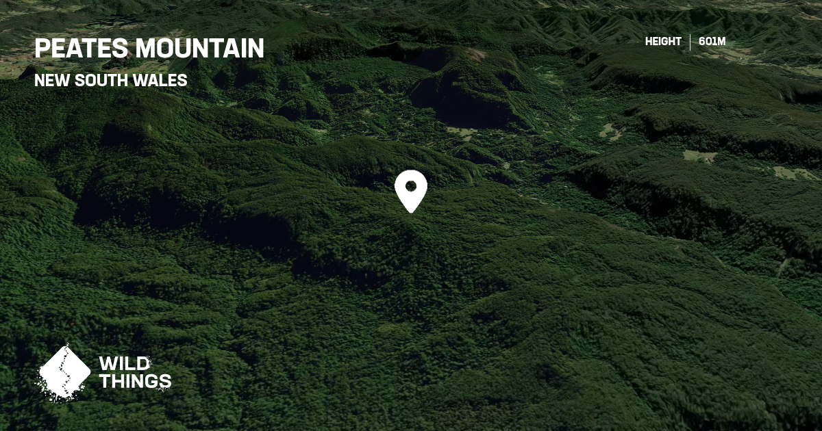 Peates Mountain, New South Wales, Australia - Peak Directory - Wild Things