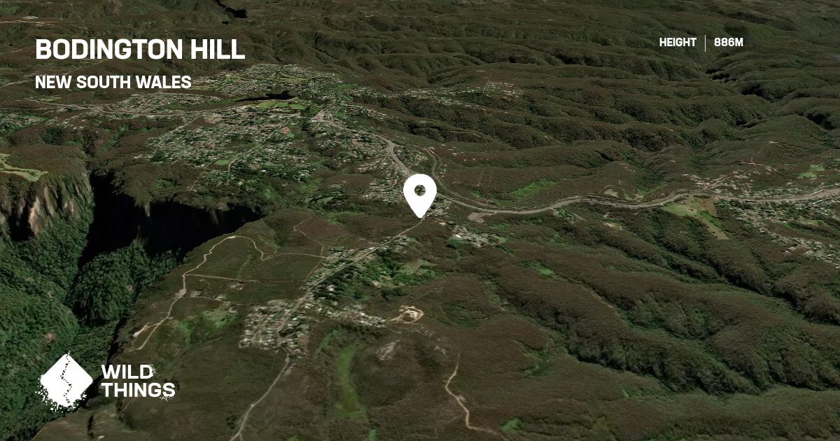 Bodington Hill, New South Wales, Australia - Peak Directory - Wild Things