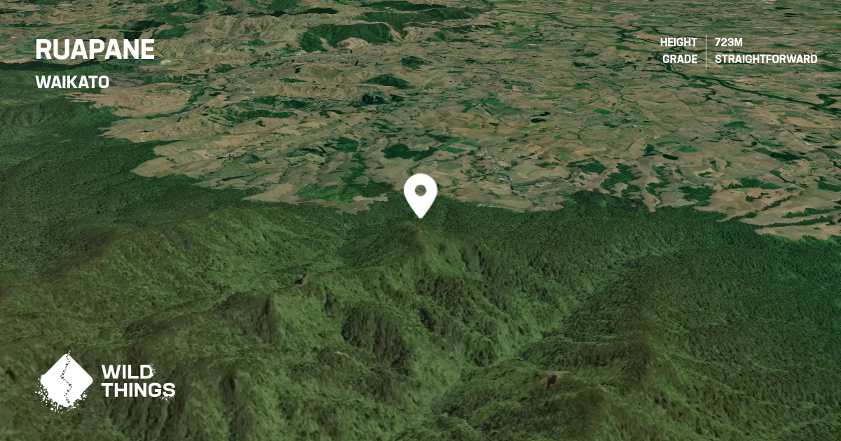 Ruapane, Waikato, New Zealand - Peak Directory - Wild Things
