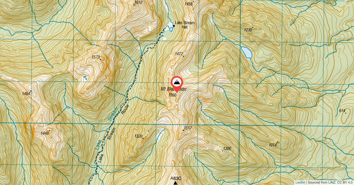 Mt Blackadder West Coast Peak Directory Wild Things mt-blackadder-west-coast-peak-directory-wild-things