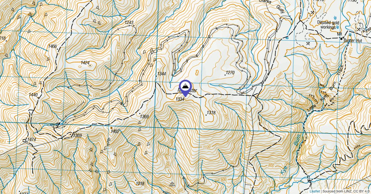 Mt Buster, Canterbury - Peak Directory - Wild Things